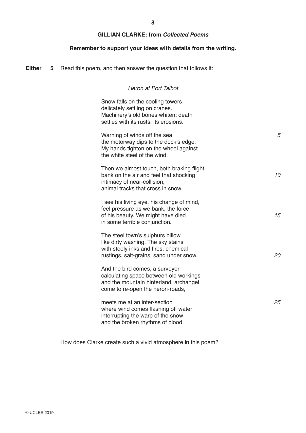 Cambridge IGCSE English - Literature 0486 2019 Feb/March Paper 1 · Variant 2 question paper, page 8 of 28