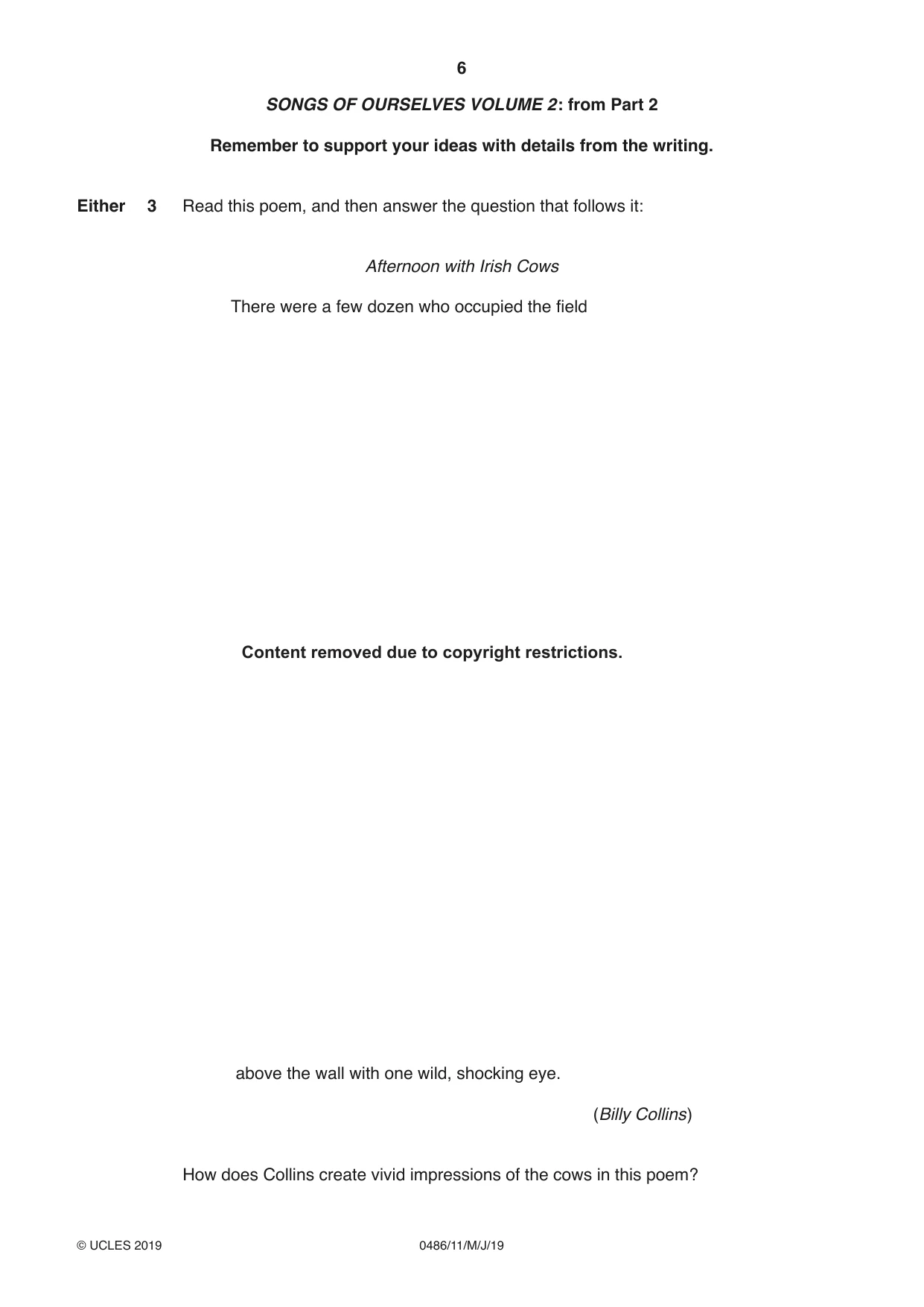Cambridge IGCSE English - Literature 0486 2019 May/June Paper 1 · Variant 1 question paper, page 6 of 28