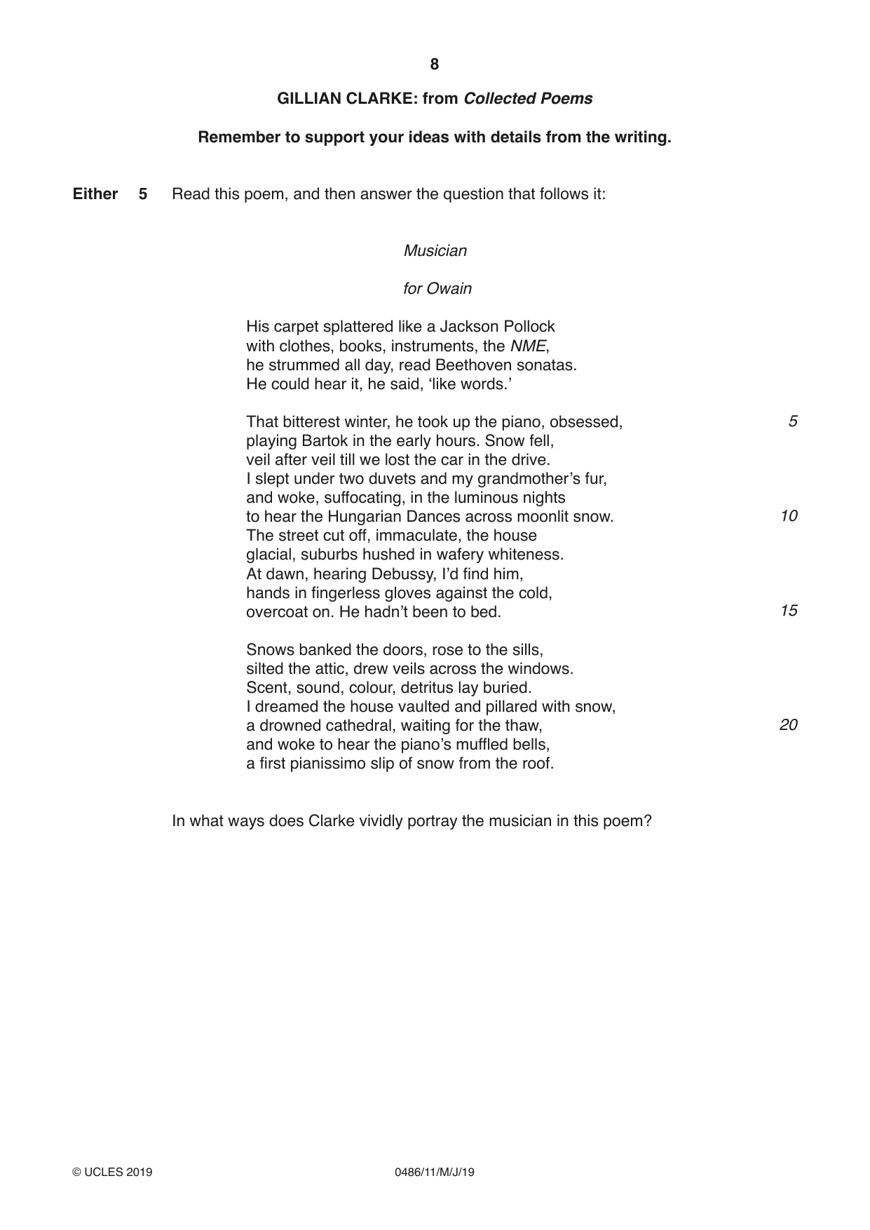 Cambridge IGCSE English - Literature 0486 2019 May/June Paper 1 · Variant 1 question paper, page 8 of 28