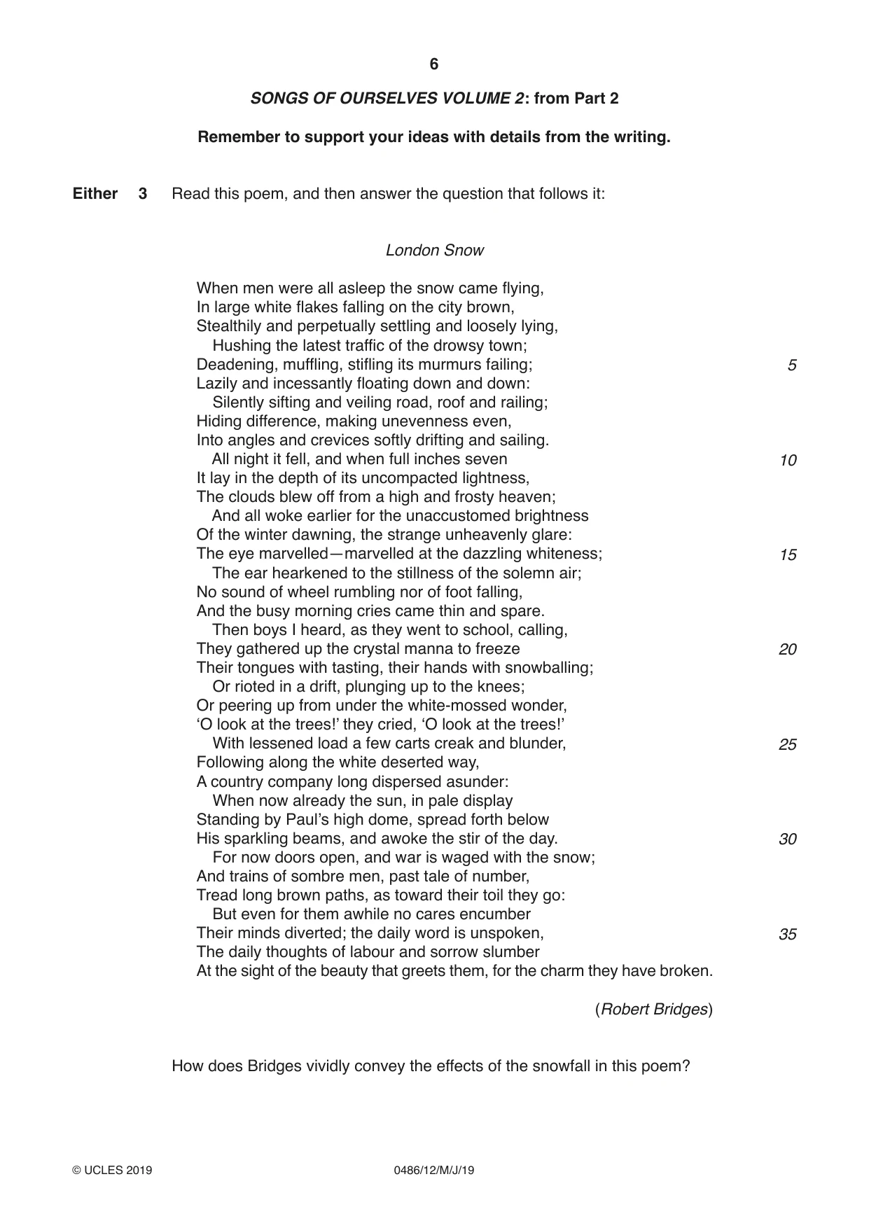 Cambridge IGCSE English - Literature 0486 2019 May/June Paper 1 · Variant 2 question paper, page 6 of 28