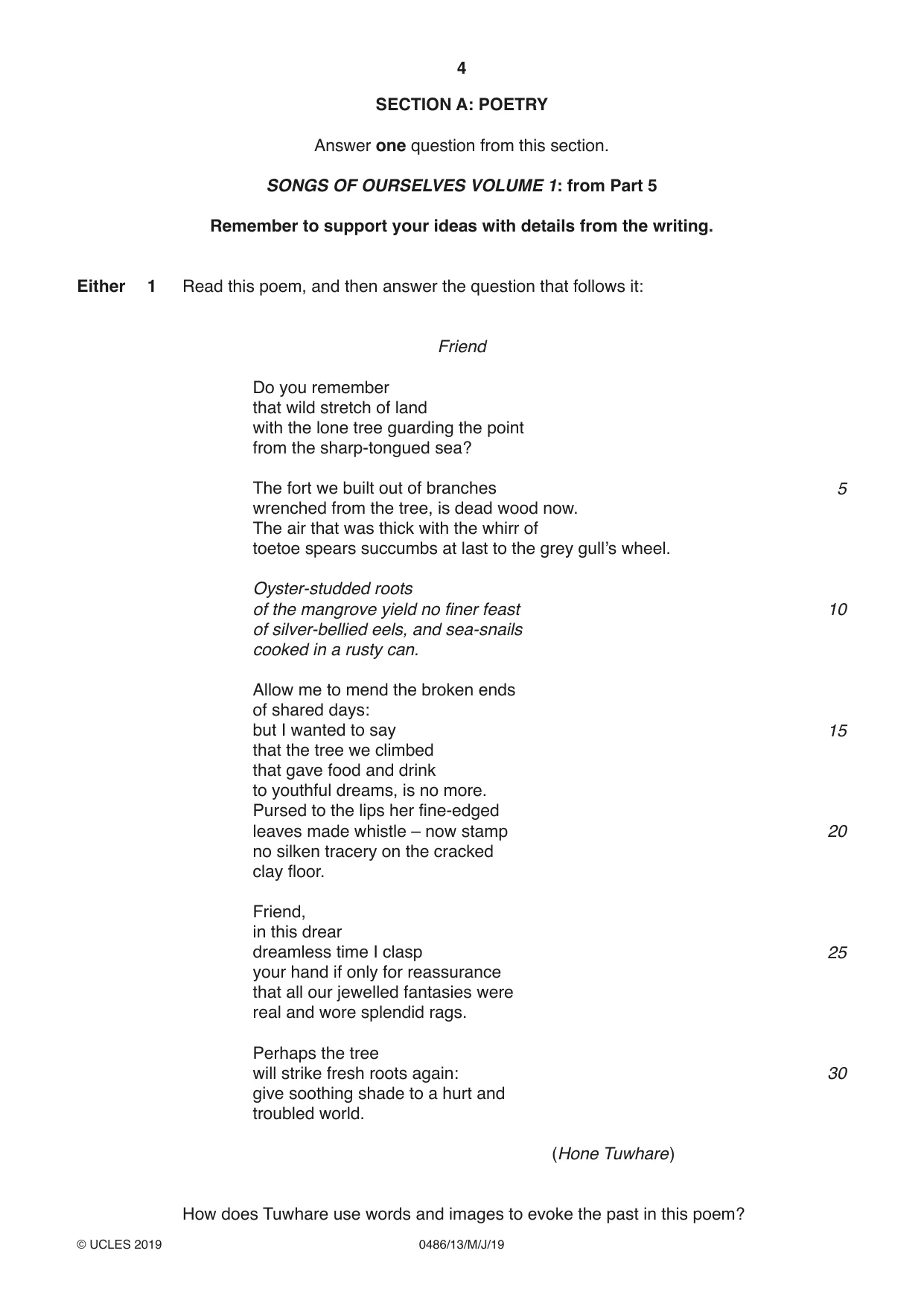 Cambridge IGCSE English - Literature 0486 2019 May/June Paper 1 · Variant 3 question paper, page 4 of 28