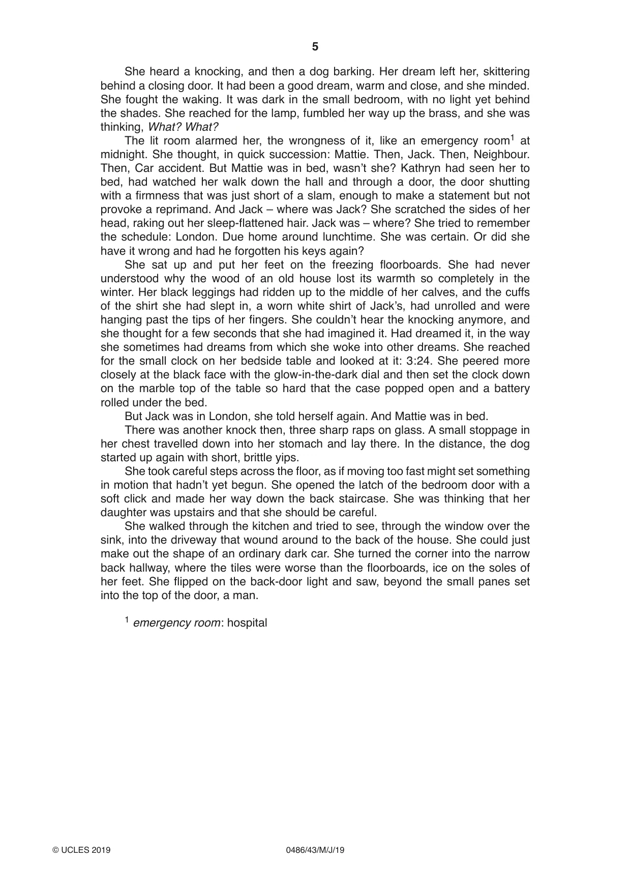 Cambridge IGCSE English - Literature 0486 2019 May/June Paper 4 · Variant 3 question paper, page 5 of 8