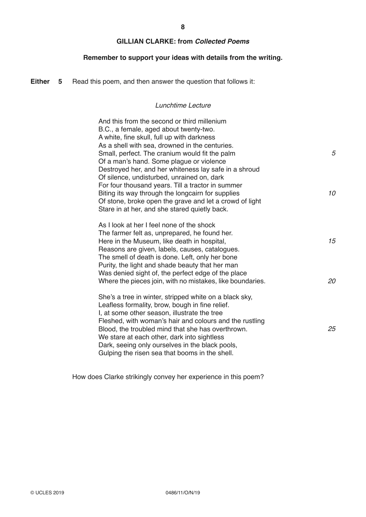 Cambridge IGCSE English - Literature 0486 2019 Oct/Nov Paper 1 · Variant 1 question paper, page 8 of 28