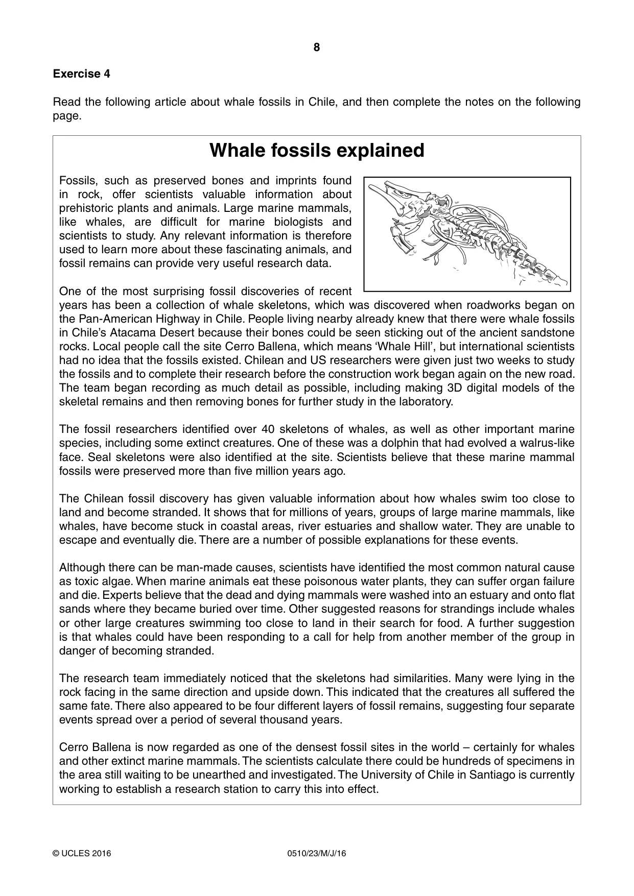 Cambridge IGCSE English - Second Language (oral endorsement) 0510 2016 May/June Paper 2 · Variant 3 question paper, page 8 of 16