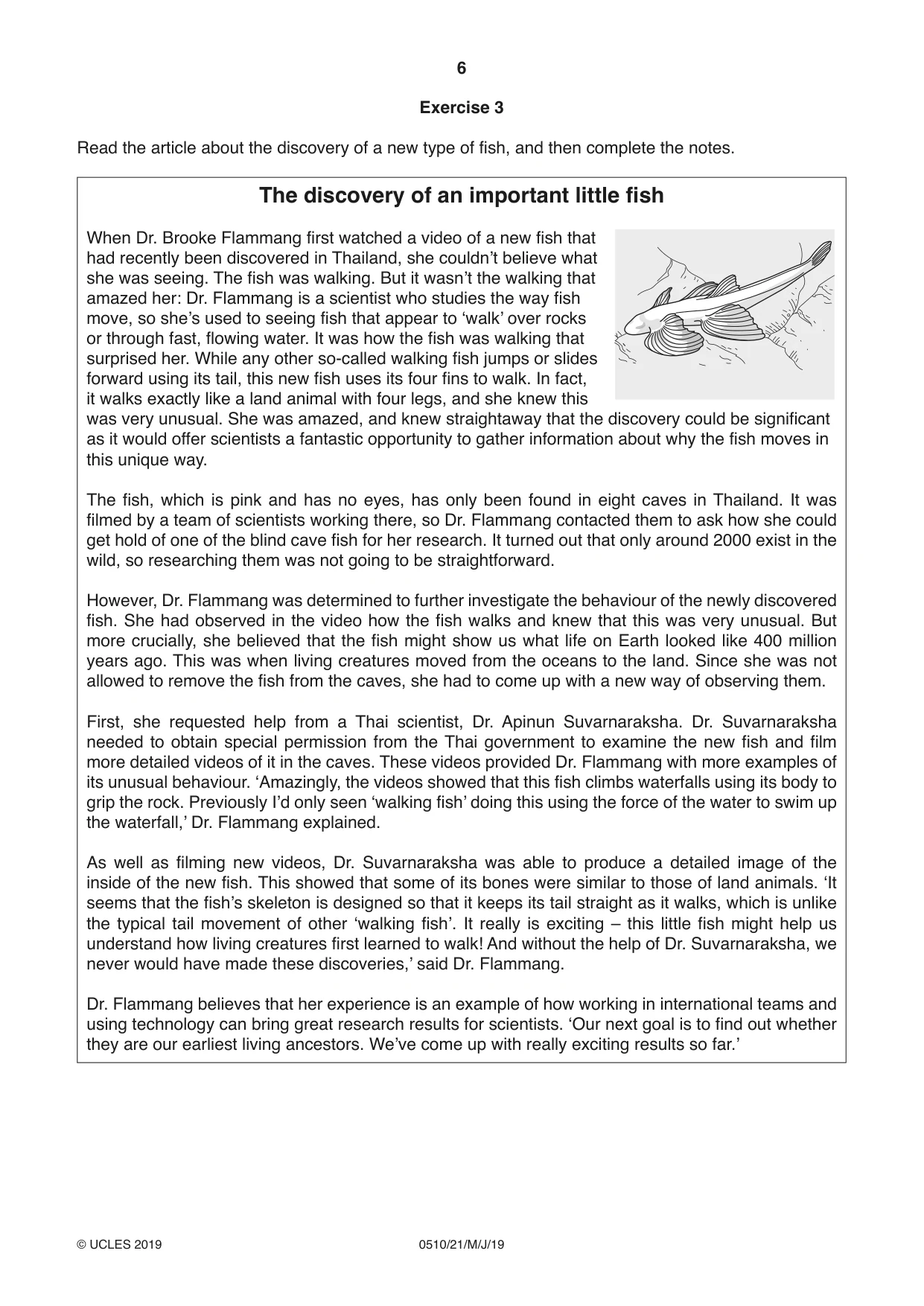 Cambridge IGCSE English - Second Language (oral endorsement) 0510 2019 May/June Paper 2 · Variant 1 question paper, page 6 of 16
