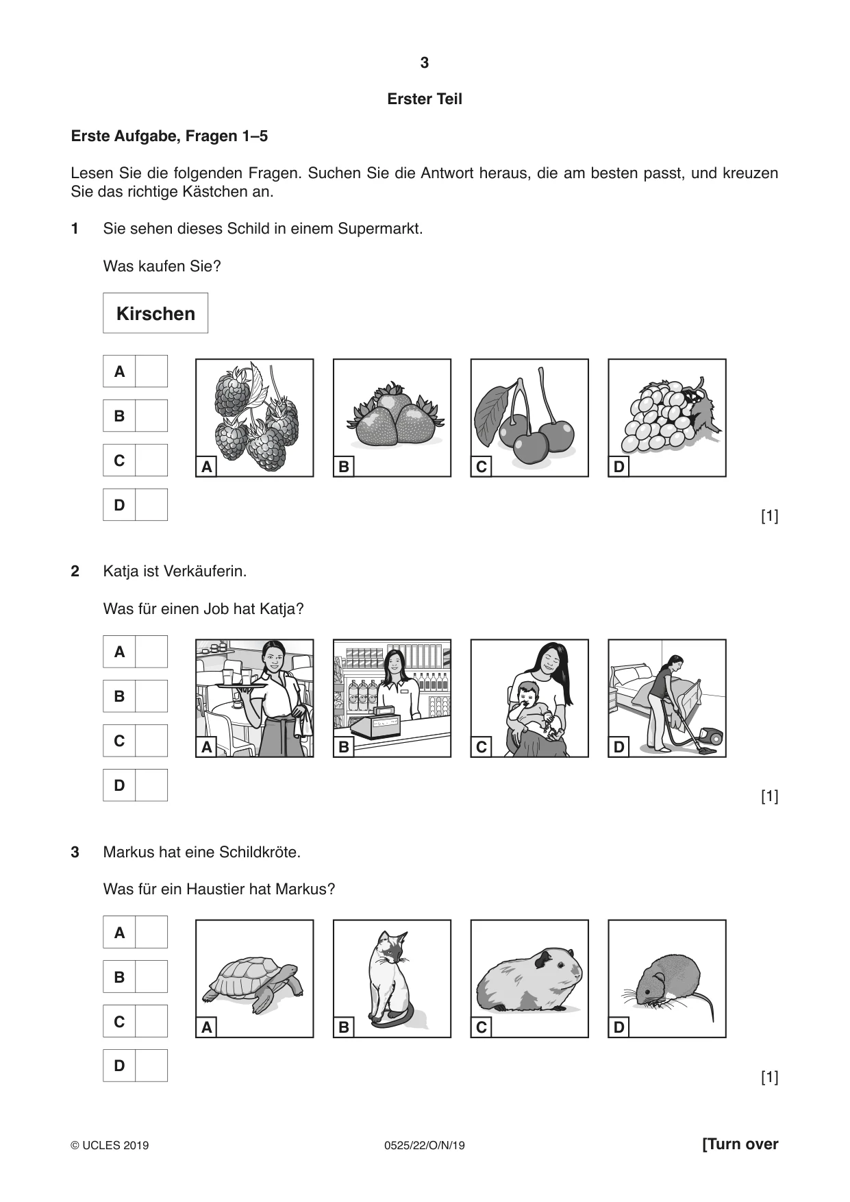 Cambridge IGCSE German - Foreign Language 0525 2019 Oct/Nov Paper 2 · Variant 2 question paper, page 3 of 16