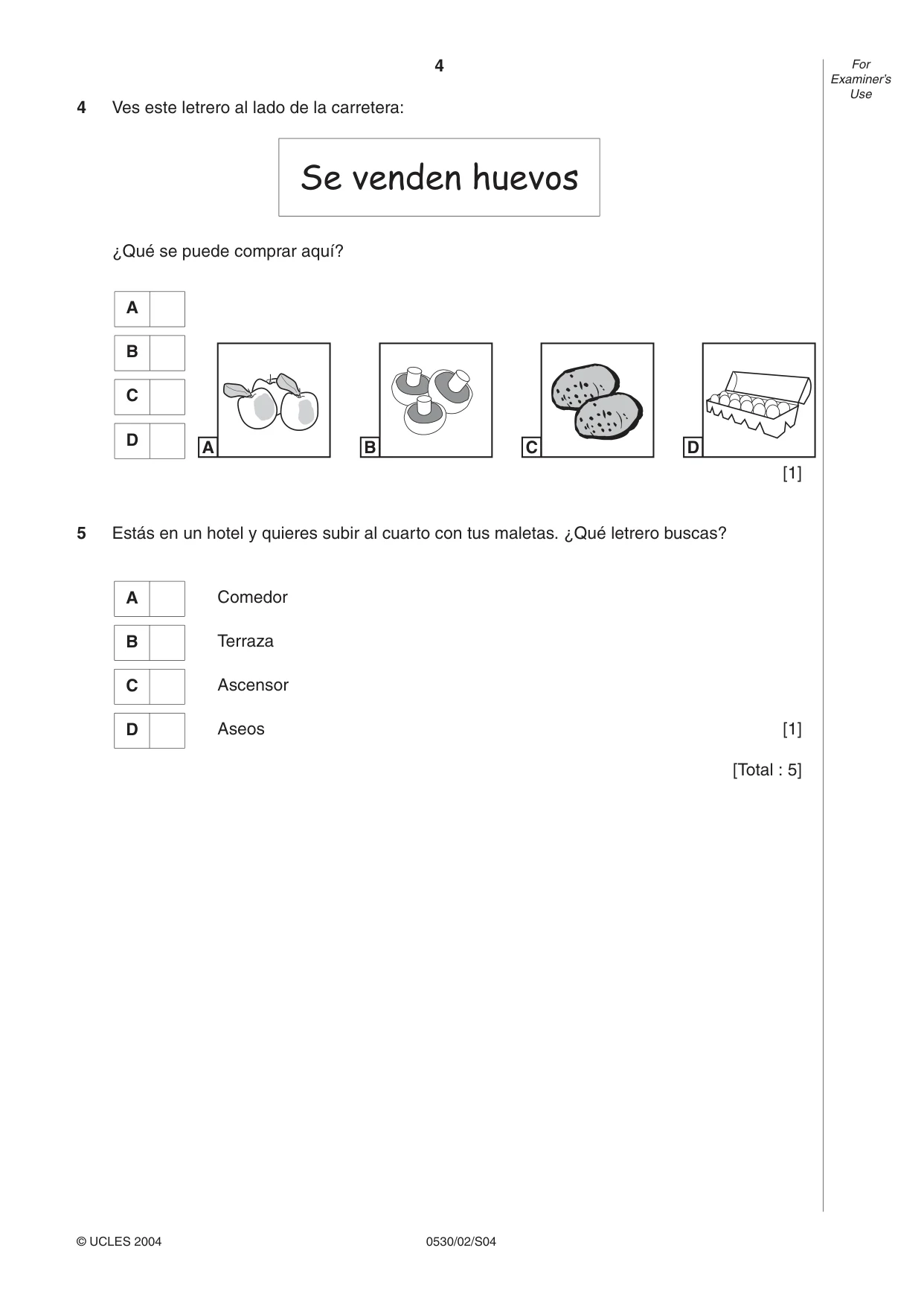 Cambridge IGCSE Spanish - Foreign Language 0530 2004 May/June Paper 2 · Variant 1 question paper, page 4 of 16