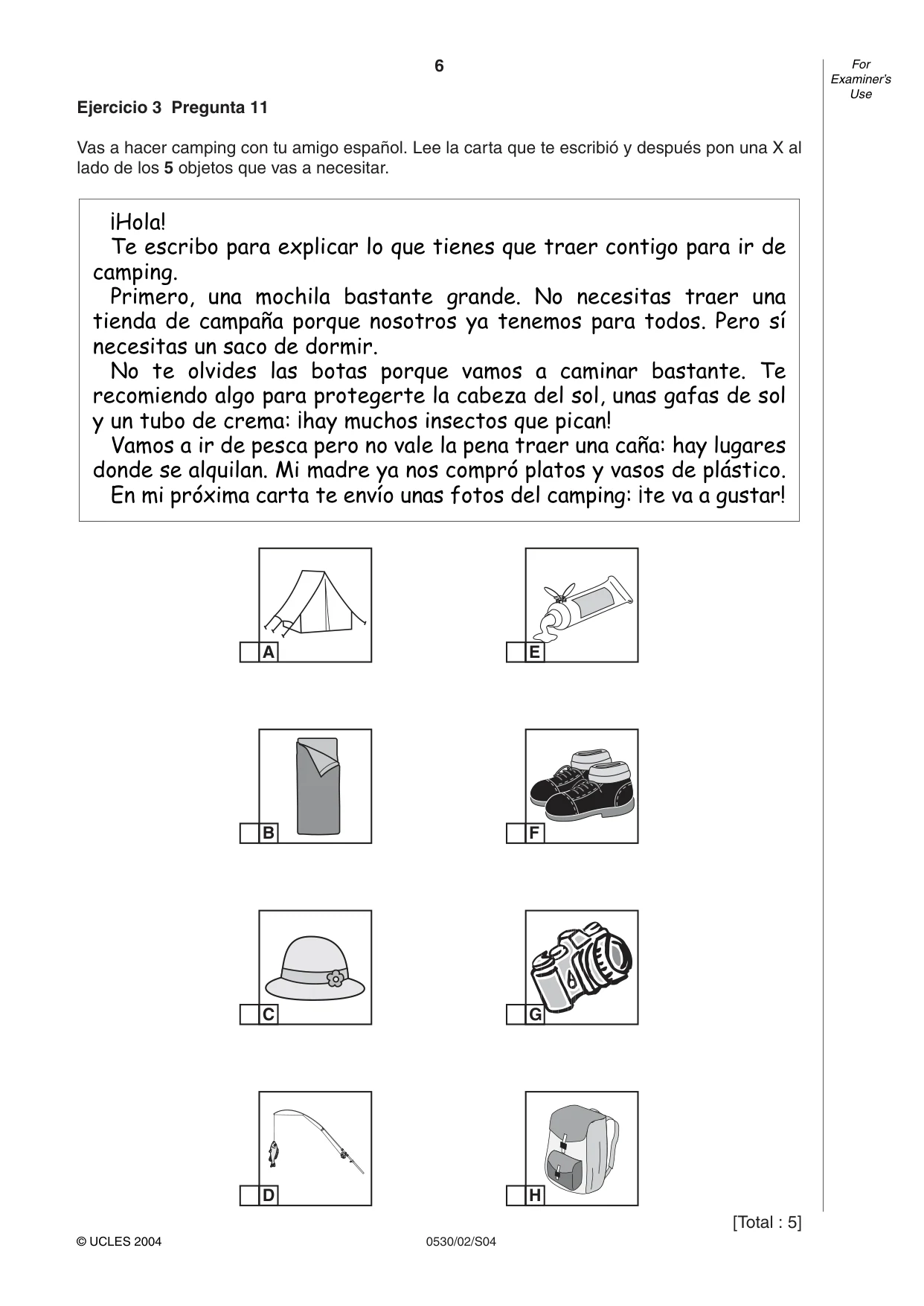 Cambridge IGCSE Spanish - Foreign Language 0530 2004 May/June Paper 2 · Variant 1 question paper, page 6 of 16