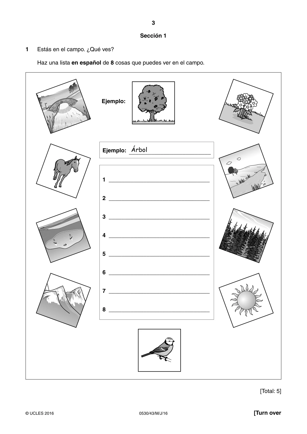 Cambridge IGCSE Spanish - Foreign Language 0530 2016 May/June Paper 4 · Variant 3 question paper, page 3 of 8