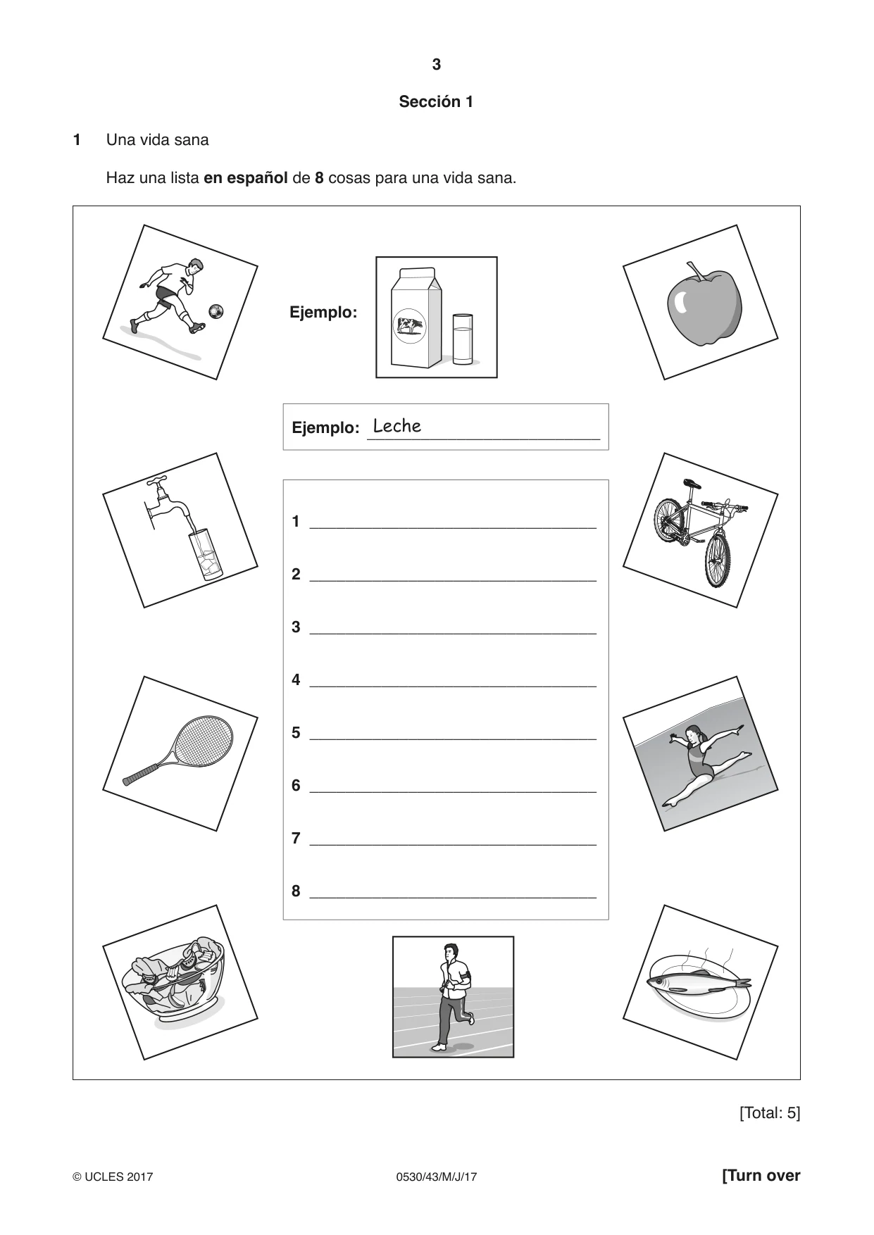 Cambridge IGCSE Spanish - Foreign Language 0530 2017 May/June Paper 4 · Variant 3 question paper, page 3 of 8