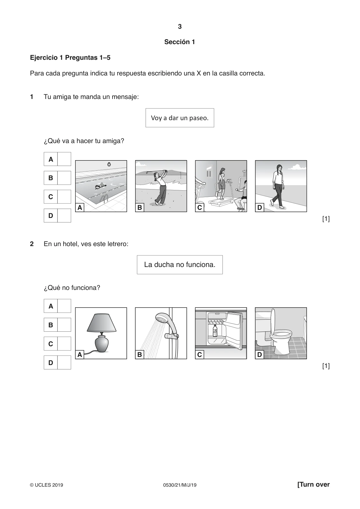 Cambridge IGCSE Spanish - Foreign Language 0530 2019 May/June Paper 2 · Variant 1 question paper, page 3 of 16
