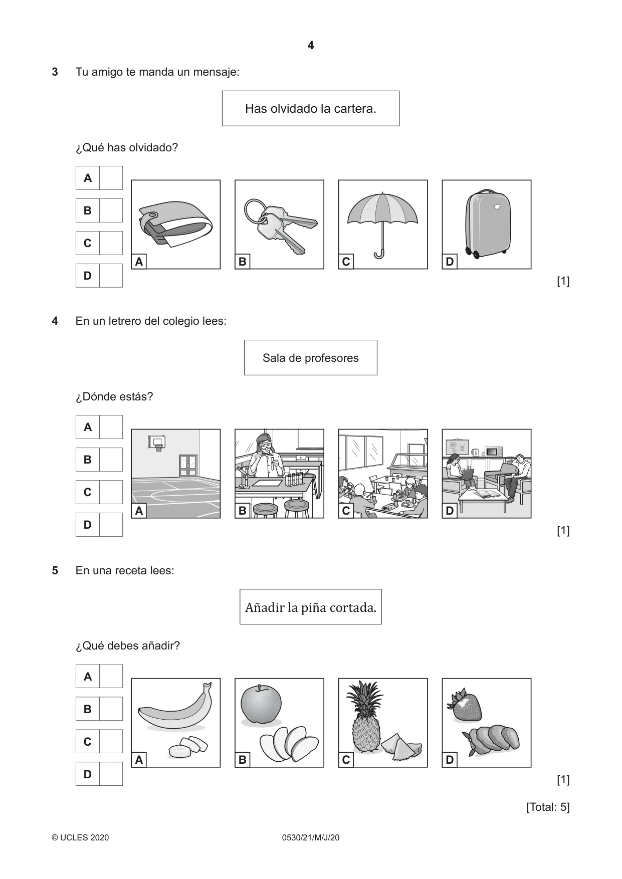 Cambridge IGCSE Spanish - Foreign Language 0530 2020 May/June Paper 2 · Variant 1 question paper, page 4 of 16