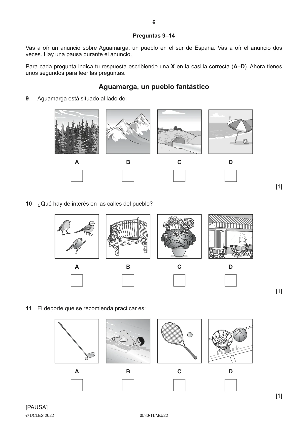 Cambridge IGCSE Spanish - Foreign Language 0530 2022 May/June Paper 1 · Variant 1 question paper, page 6 of 16