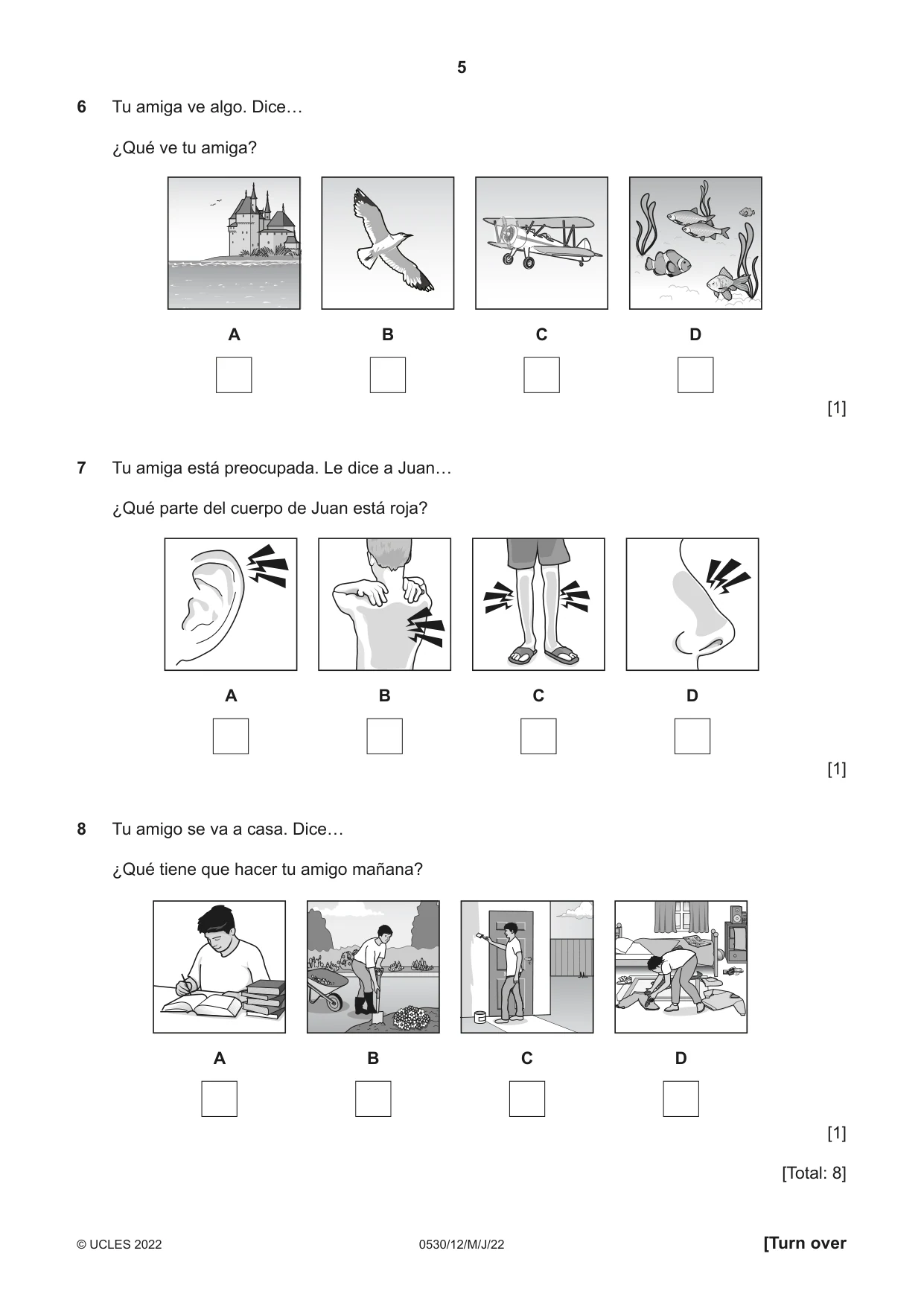 Cambridge IGCSE Spanish - Foreign Language 0530 2022 May/June Paper 1 · Variant 2 question paper, page 5 of 16