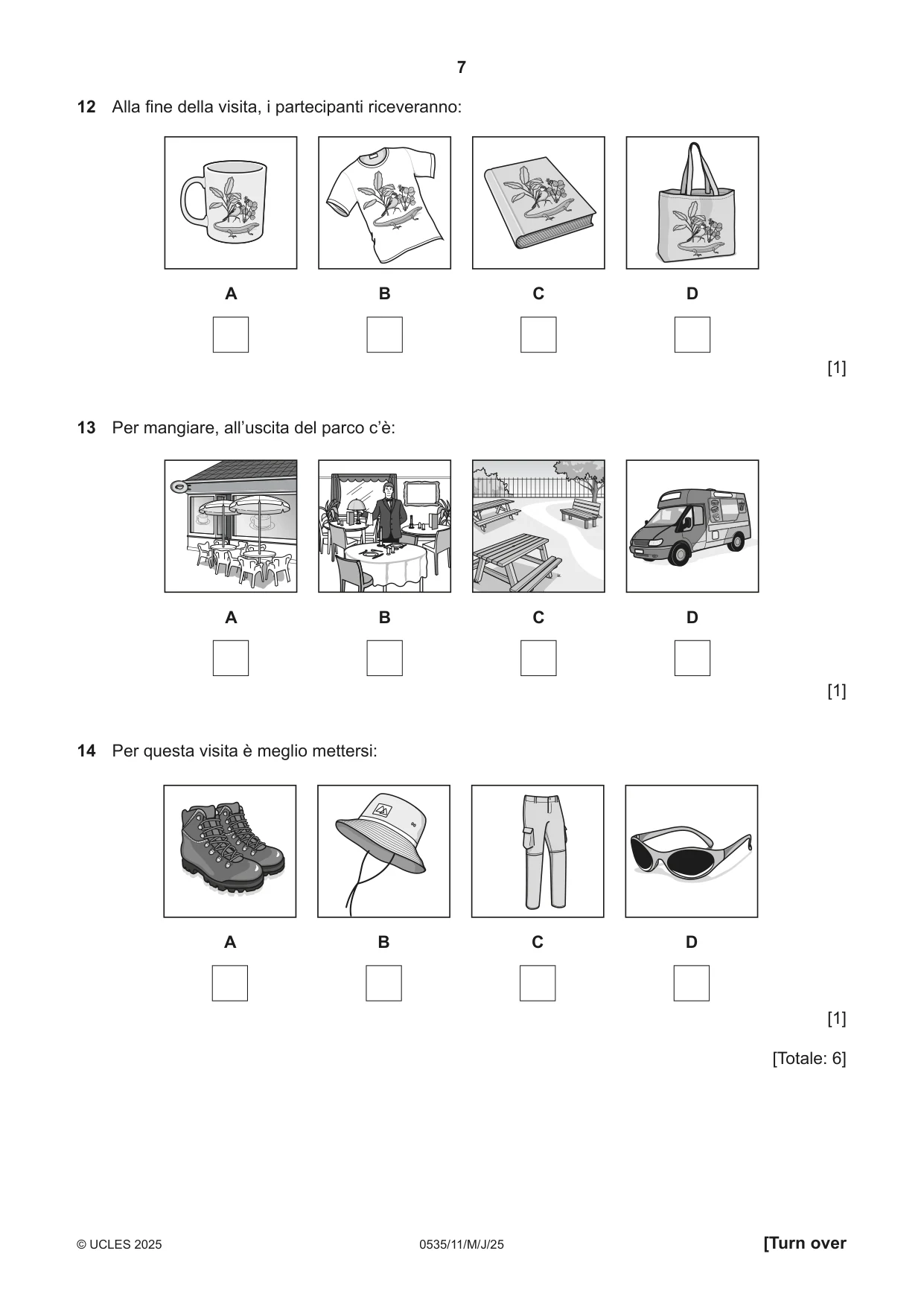 Cambridge IGCSE Italian - Foreign Language 0535 2025 May/June Paper 1 · Variant 1 question paper, page 7 of 16