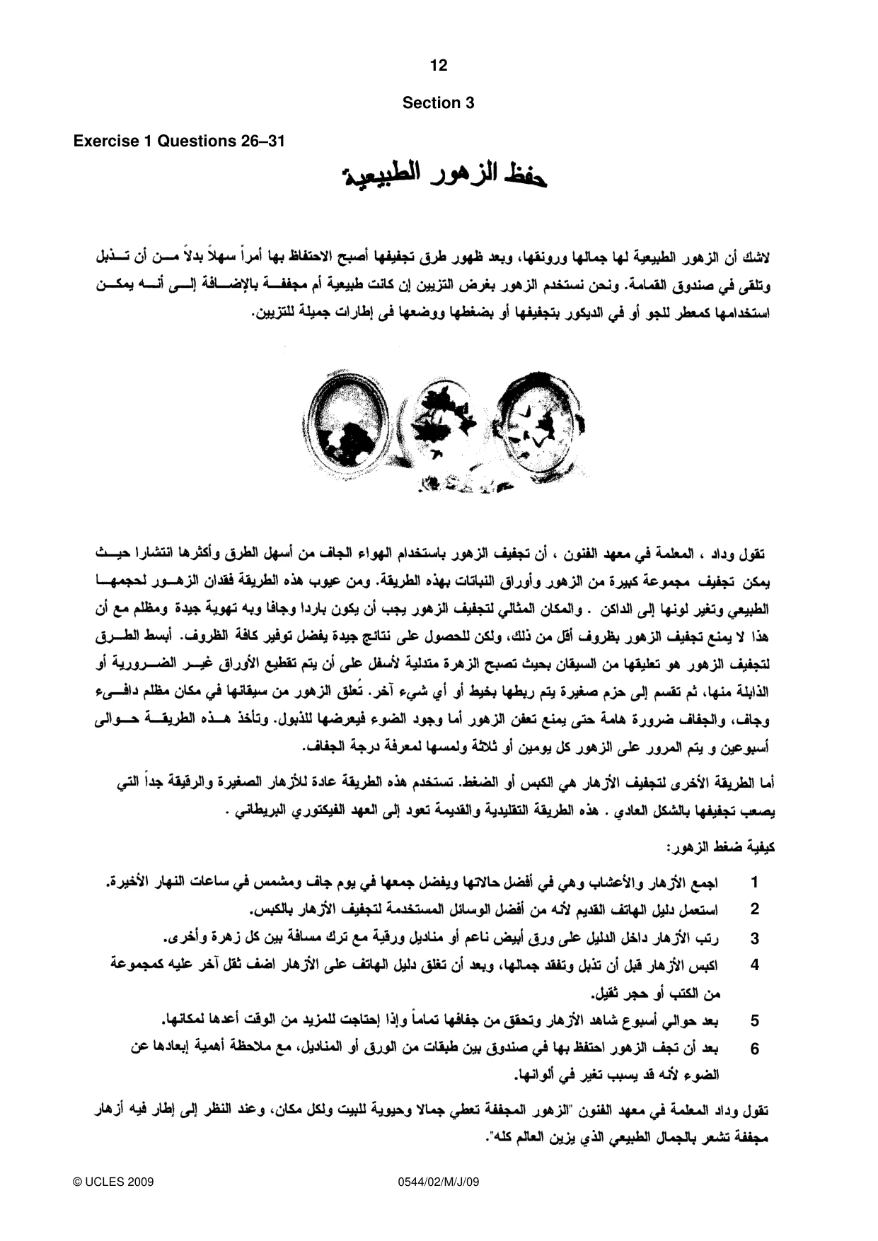 Cambridge IGCSE Arabic - Foreign Language 0544 2009 May/June Paper 2 · Variant 1 question paper, page 12 of 16