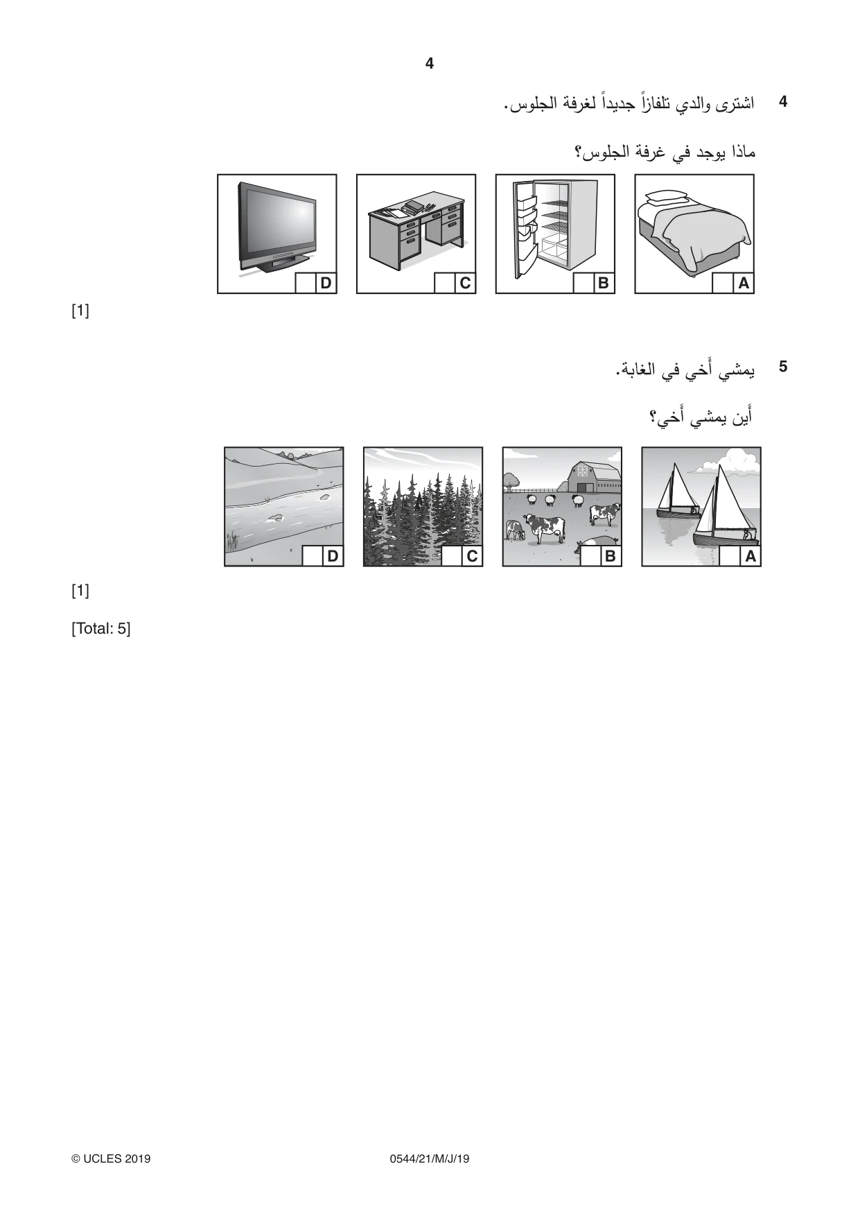 Cambridge IGCSE Arabic - Foreign Language 0544 2019 May/June Paper 2 · Variant 1 question paper, page 4 of 16