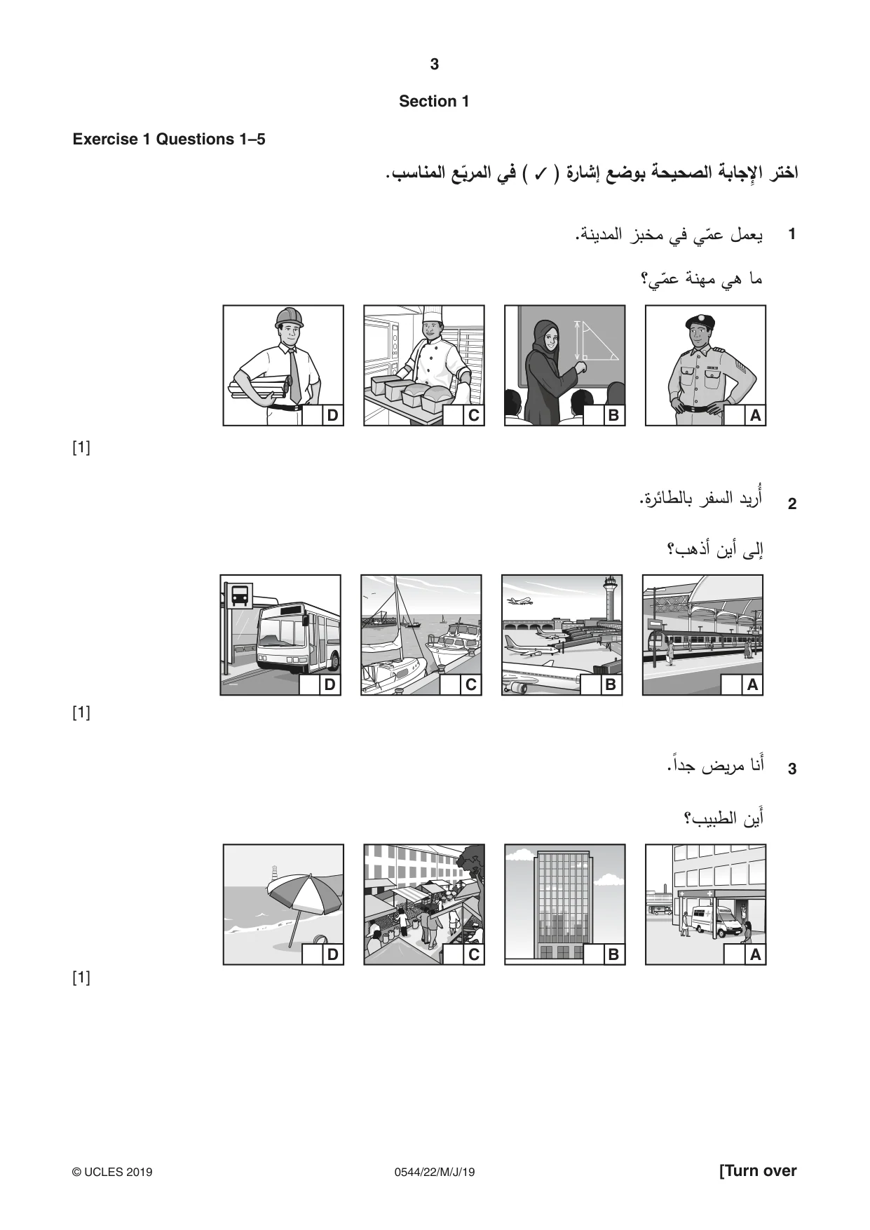 Cambridge IGCSE Arabic - Foreign Language 0544 2019 May/June Paper 2 · Variant 2 question paper, page 3 of 16