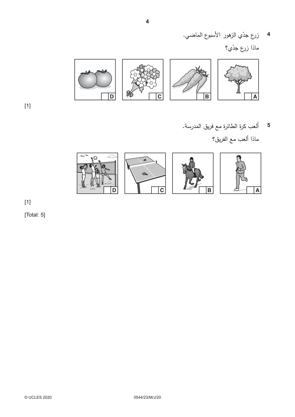 Cambridge IGCSE Arabic - Foreign Language 0544 2020 May/June Paper 2 · Variant 3 question paper, page 4 of 16