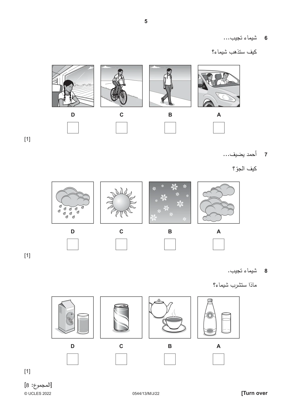 Cambridge IGCSE Arabic - Foreign Language 0544 2022 May/June Paper 1 · Variant 3 question paper, page 5 of 16
