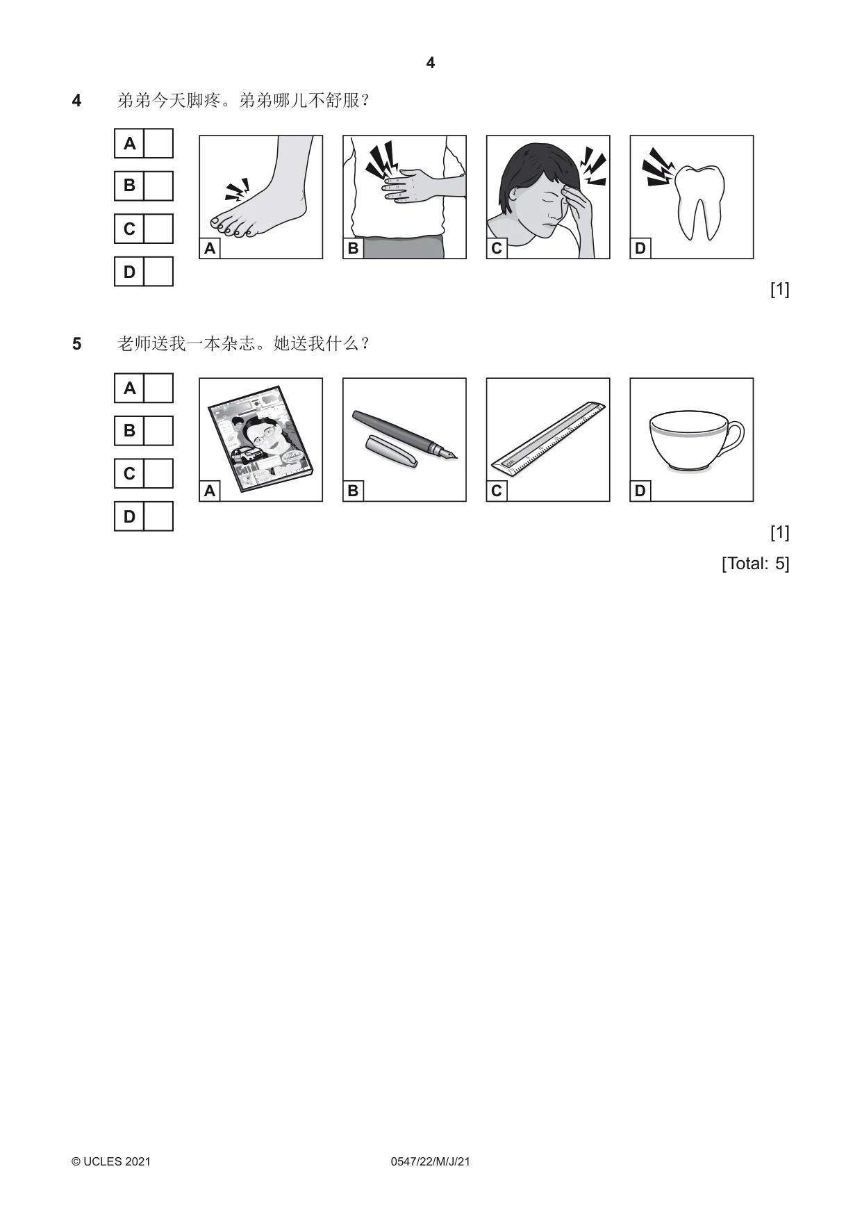 Cambridge IGCSE Chinese (Mandarin) - Foreign Language 0547 2021 May/June Paper 2 · Variant 2 question paper, page 4 of 16