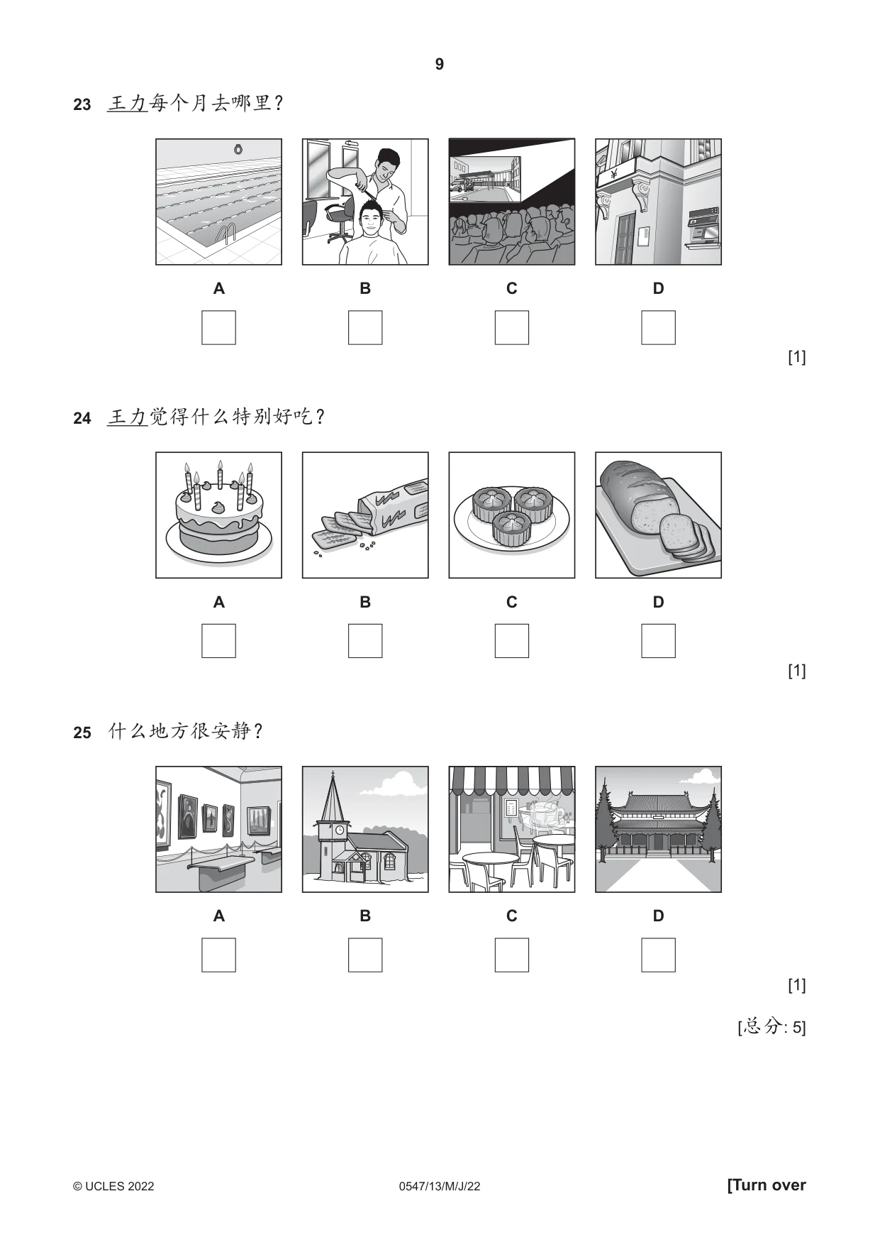 Cambridge IGCSE Chinese (Mandarin) - Foreign Language 0547 2022 May/June Paper 1 · Variant 3 question paper, page 9 of 12