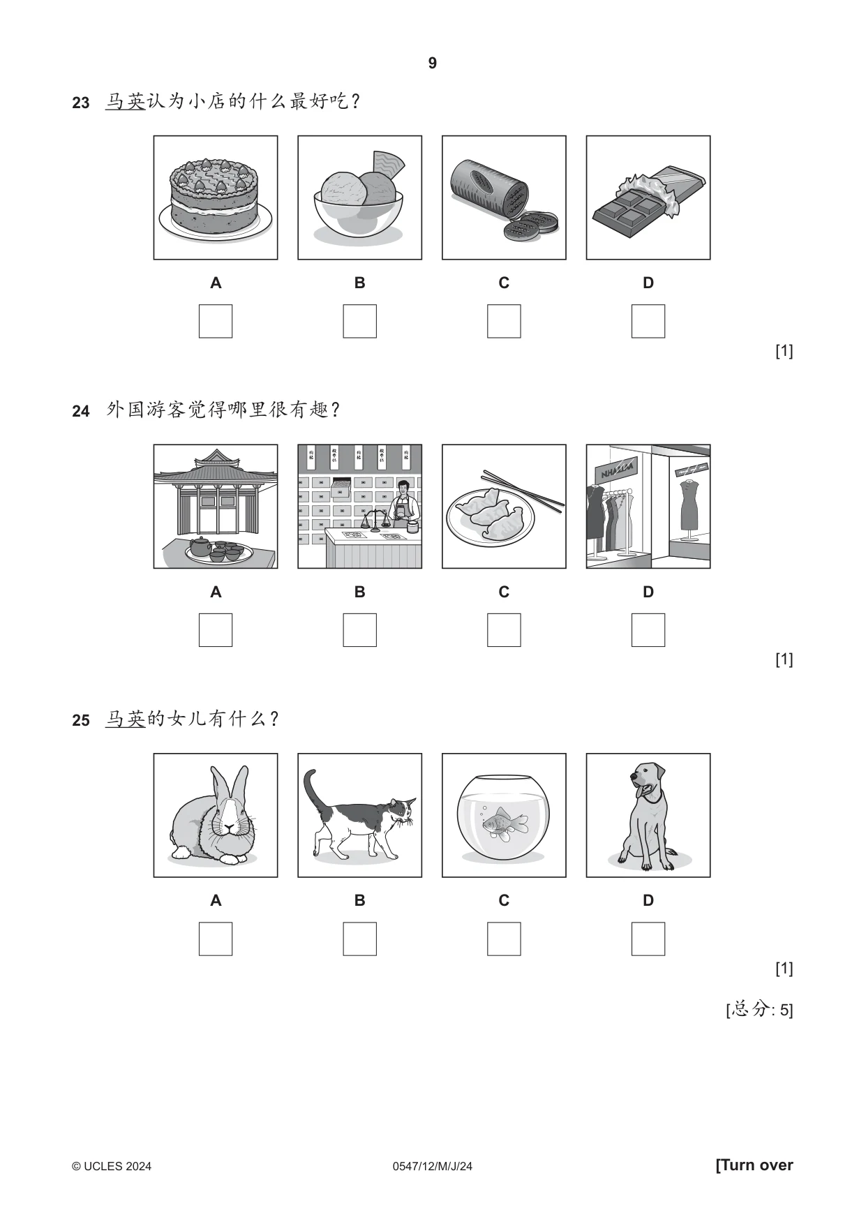 Cambridge IGCSE Chinese (Mandarin) - Foreign Language 0547 2024 May/June Paper 1 · Variant 2 question paper, page 9 of 12