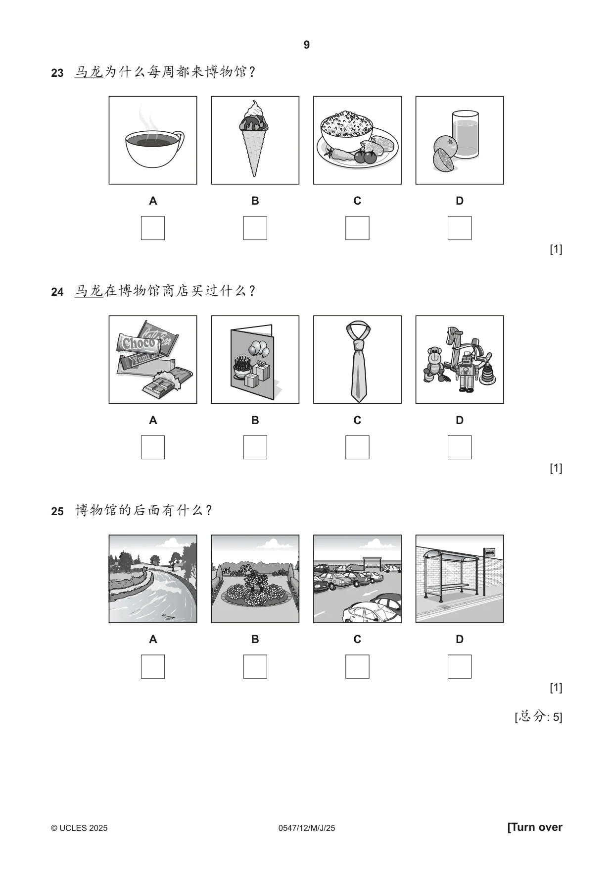 Cambridge IGCSE Chinese (Mandarin) - Foreign Language 0547 2025 May/June Paper 1 · Variant 2 question paper, page 9 of 12