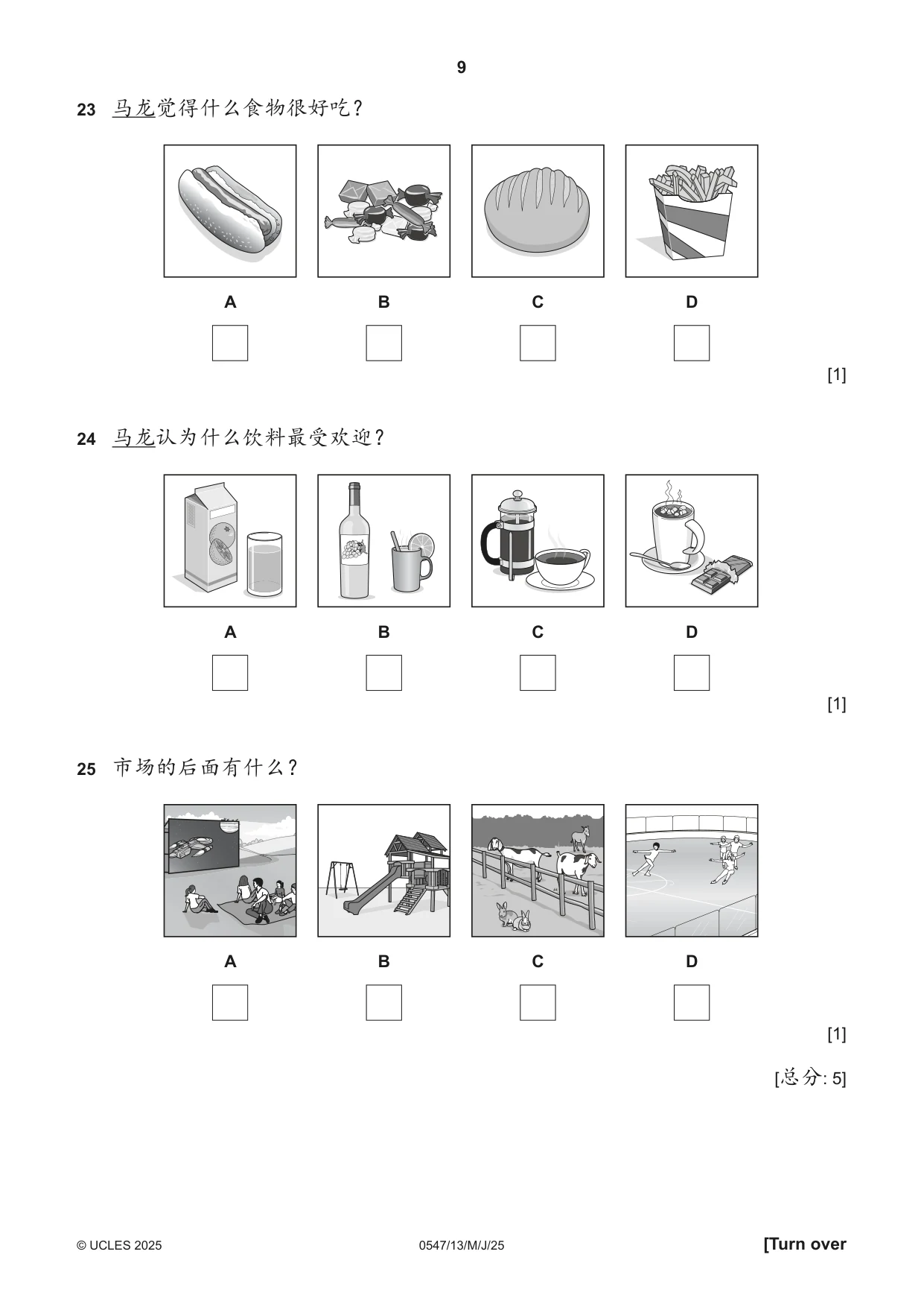 Cambridge IGCSE Chinese (Mandarin) - Foreign Language 0547 2025 May/June Paper 1 · Variant 3 question paper, page 9 of 12