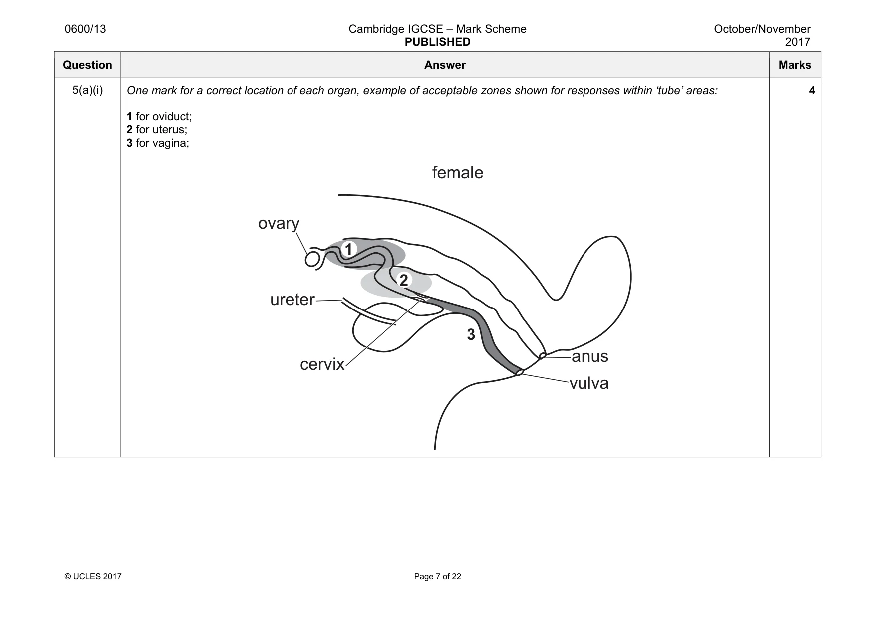 Mark scheme, page 7 of 22