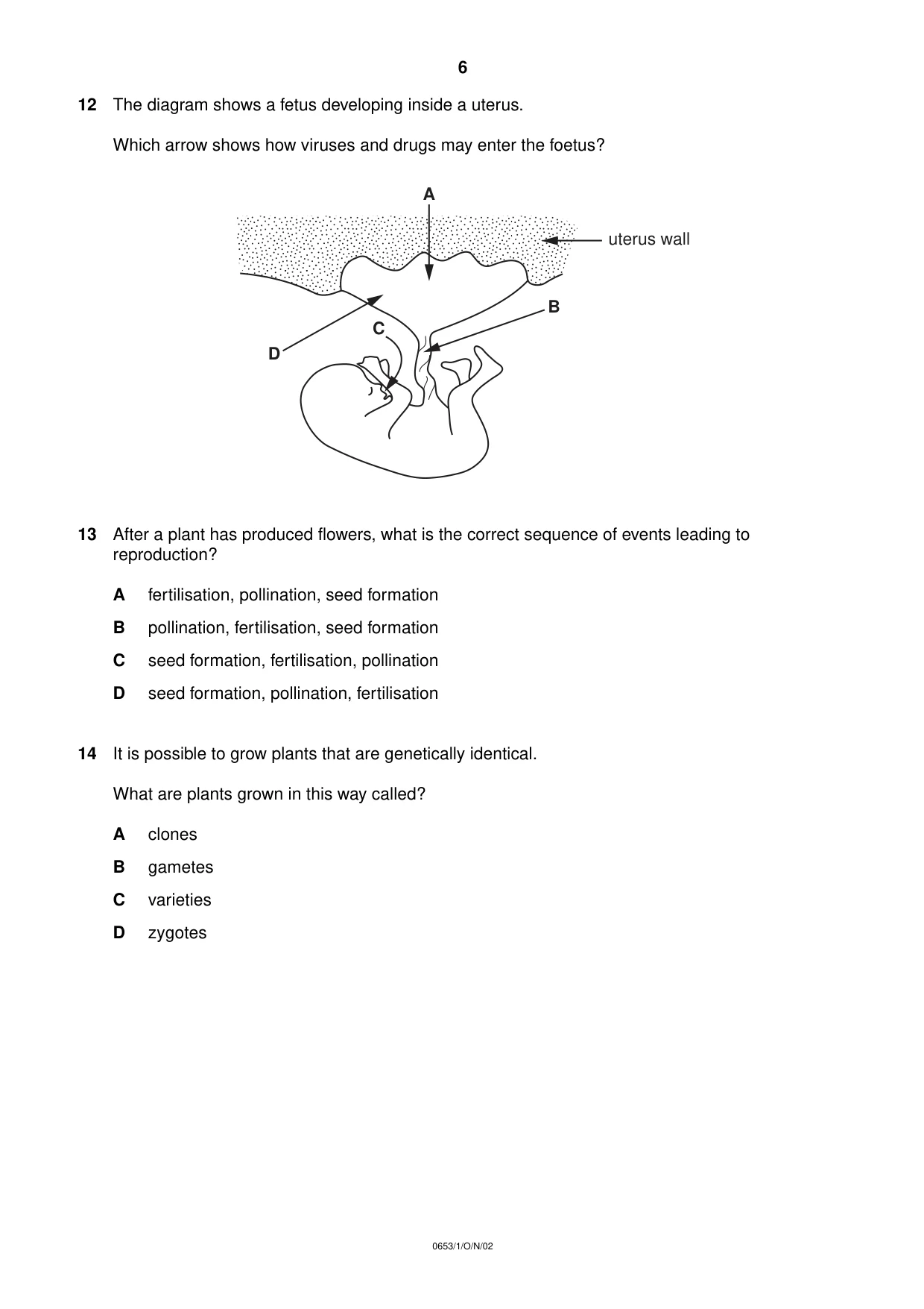 Cambridge IGCSE Science - Combined 0653 2002 Oct/Nov Paper 1 · Variant 1 question paper, page 6 of 20