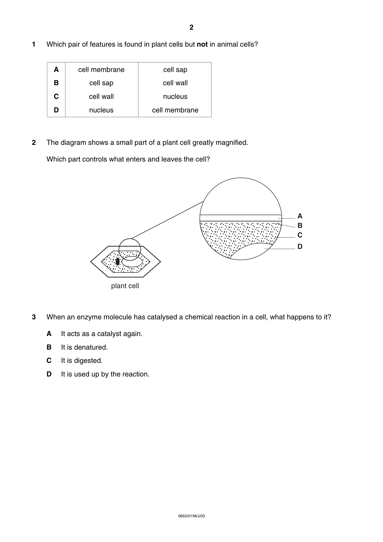 Cambridge IGCSE Science - Combined 0653 2003 May/June Paper 1 · Variant 1 question paper, page 2 of 20