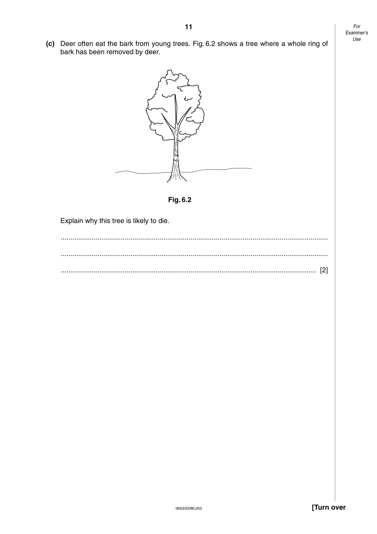 Cambridge IGCSE Science - Combined 0653 2003 May/June Paper 3 · Variant 1 question paper, page 11 of 20