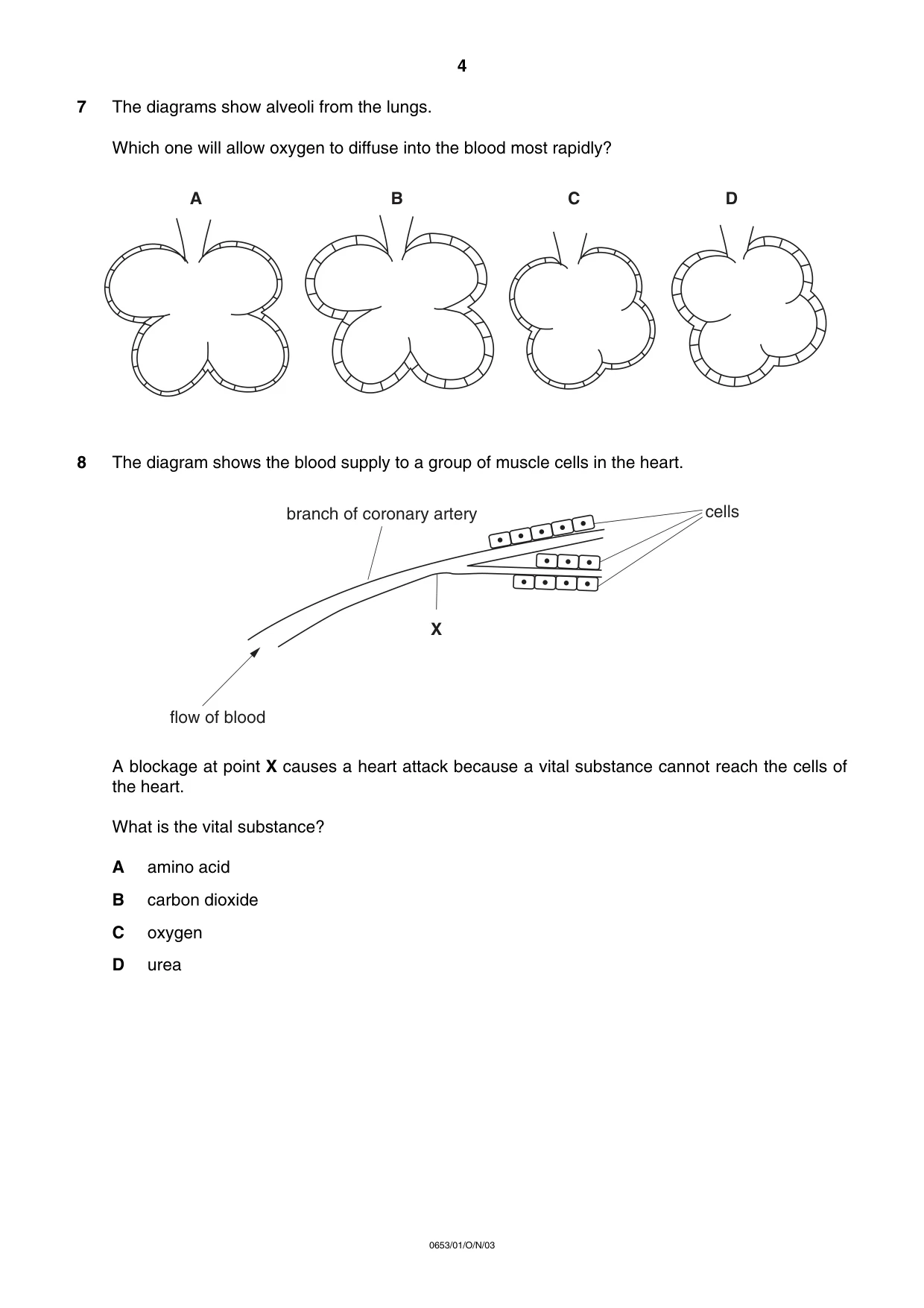 Cambridge IGCSE Science - Combined 0653 2003 Oct/Nov Paper 1 · Variant 1 question paper, page 4 of 20
