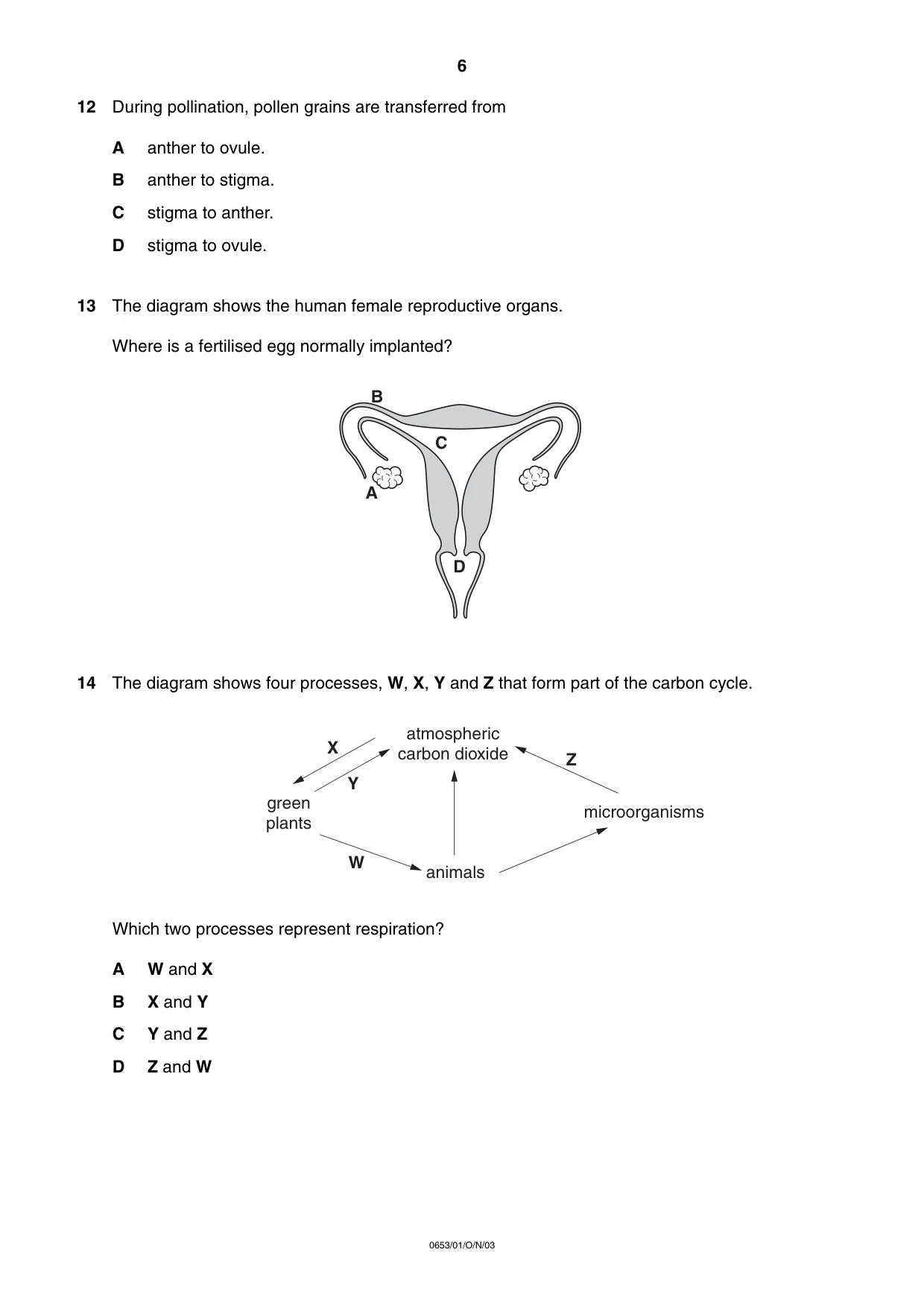 Cambridge IGCSE Science - Combined 0653 2003 Oct/Nov Paper 1 · Variant 1 question paper, page 6 of 20