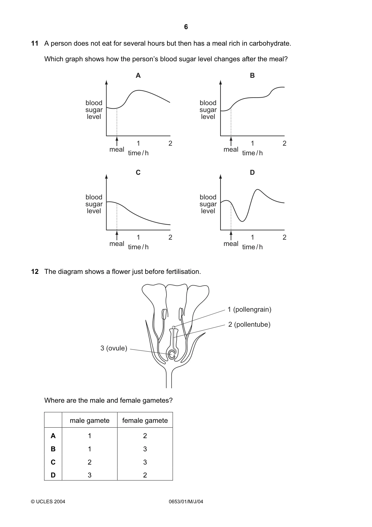 Cambridge IGCSE Science - Combined 0653 2004 May/June Paper 1 · Variant 1 question paper, page 6 of 20