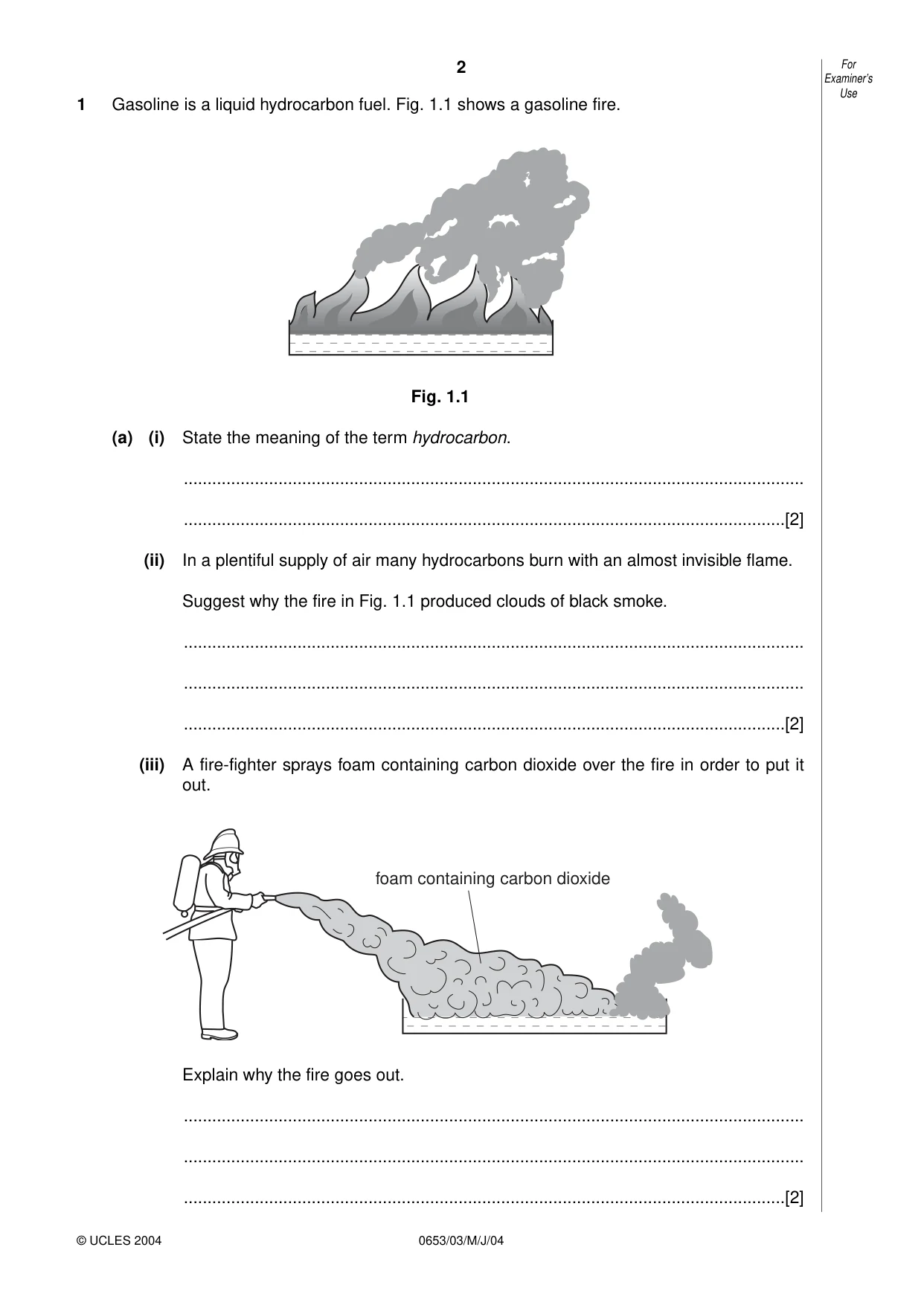Cambridge IGCSE Science - Combined 0653 2004 May/June Paper 3 · Variant 1 question paper, page 2 of 20