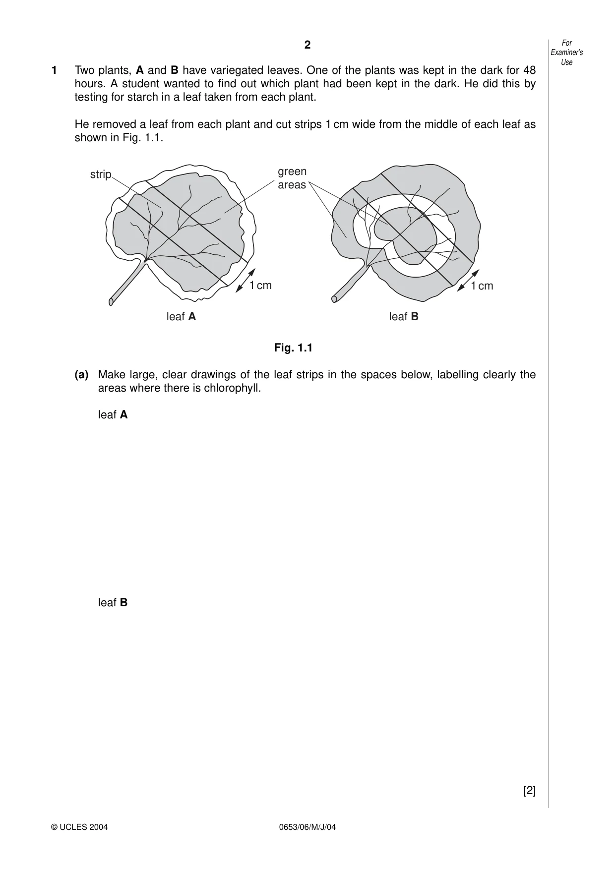 Cambridge IGCSE Science - Combined 0653 2004 May/June Paper 6 · Variant 1 question paper, page 2 of 20