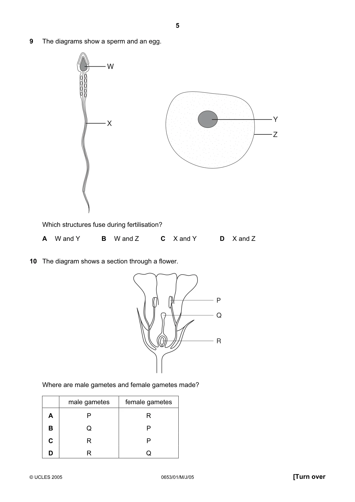Cambridge IGCSE Science - Combined 0653 2005 May/June Paper 1 · Variant 1 question paper, page 5 of 20