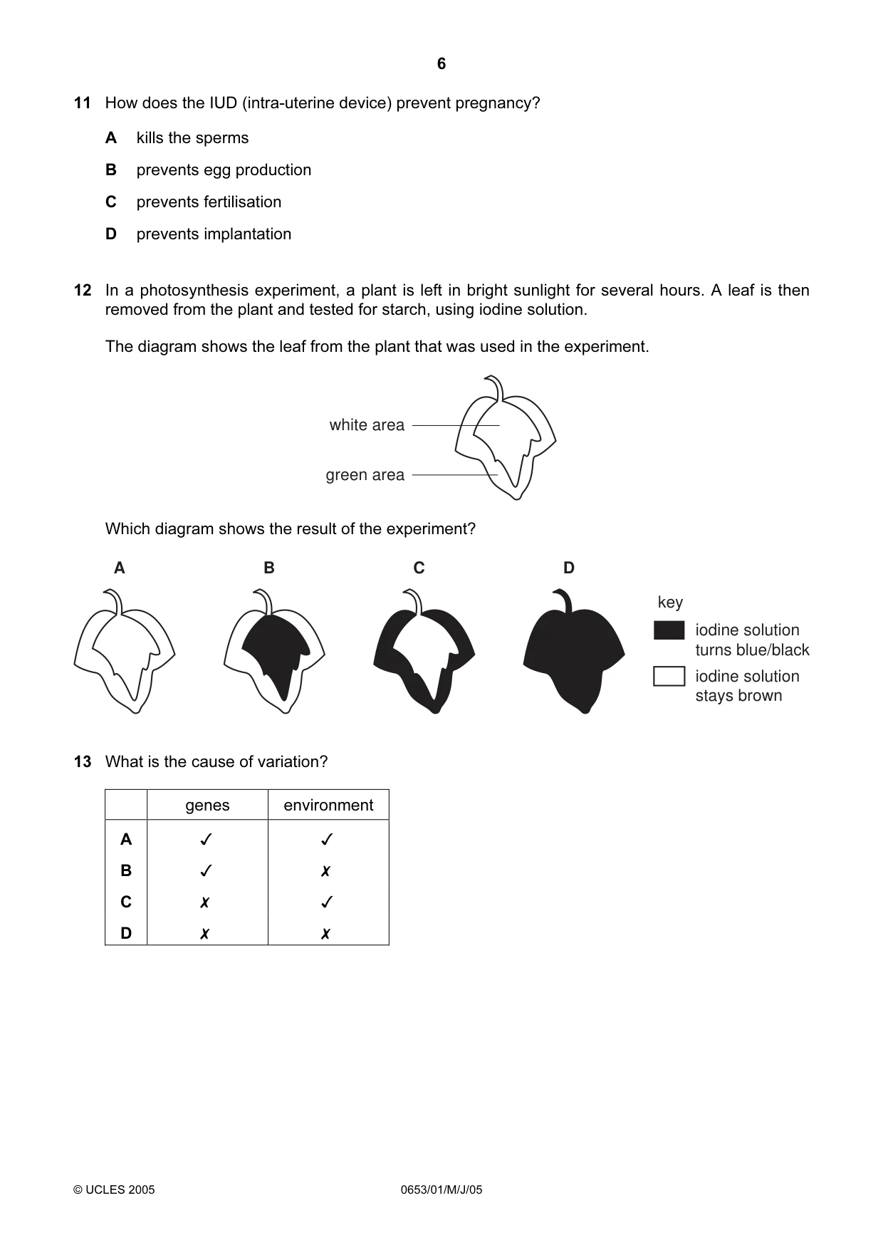 Cambridge IGCSE Science - Combined 0653 2005 May/June Paper 1 · Variant 1 question paper, page 6 of 20