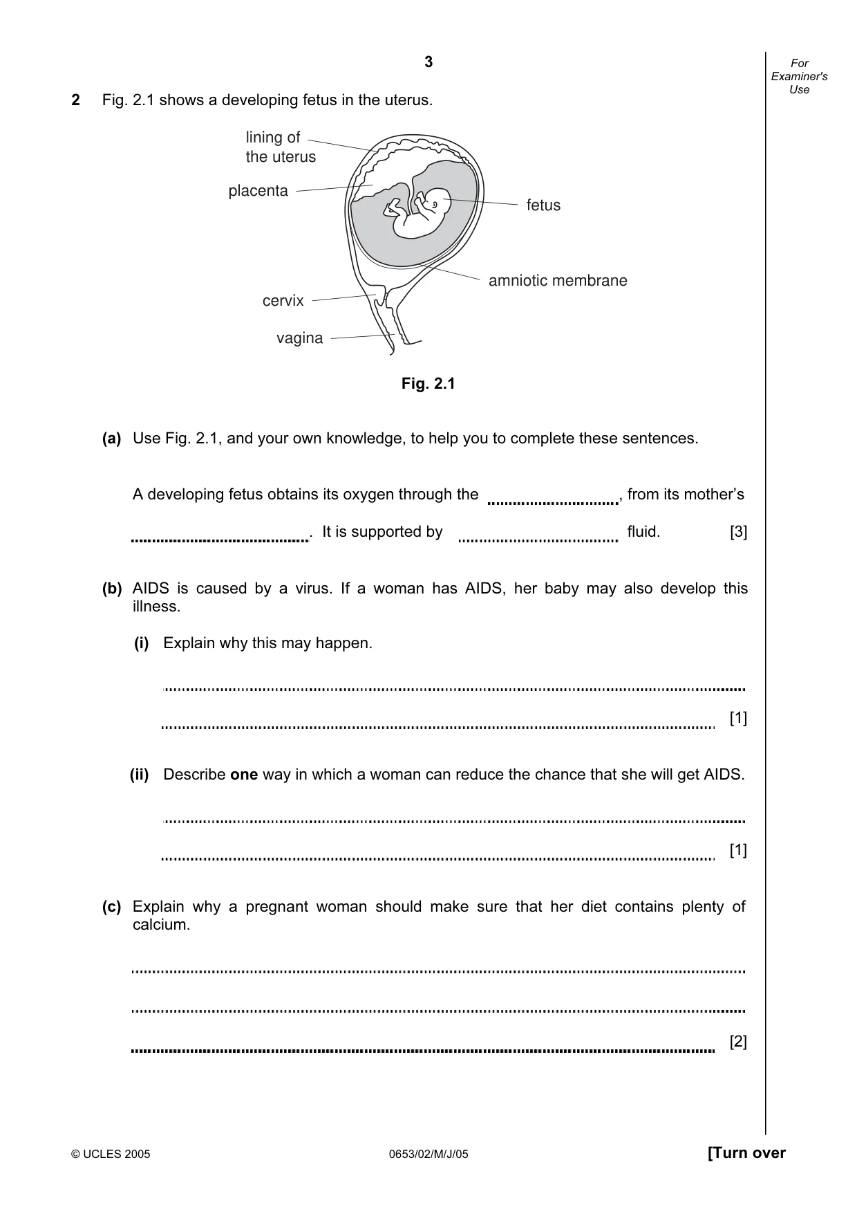 Cambridge IGCSE Science - Combined 0653 2005 May/June Paper 2 · Variant 1 question paper, page 3 of 20