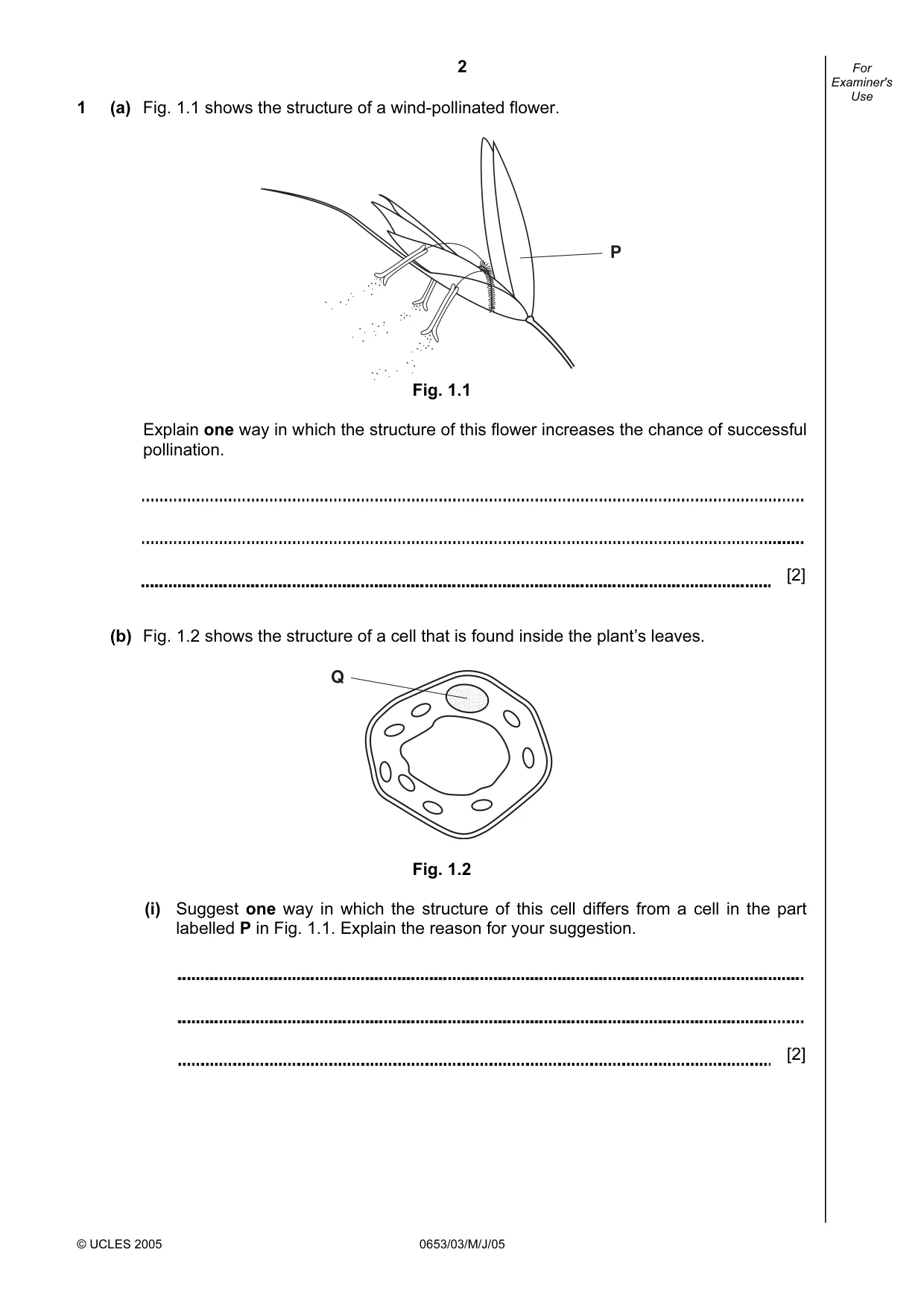 Cambridge IGCSE Science - Combined 0653 2005 May/June Paper 3 · Variant 1 question paper, page 2 of 20