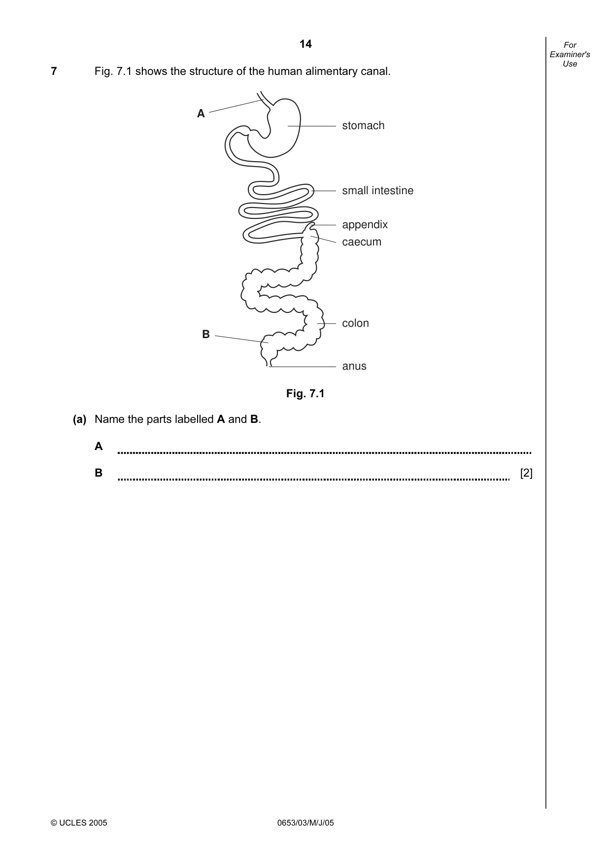 Cambridge IGCSE Science - Combined 0653 2005 May/June Paper 3 · Variant 1 question paper, page 14 of 20