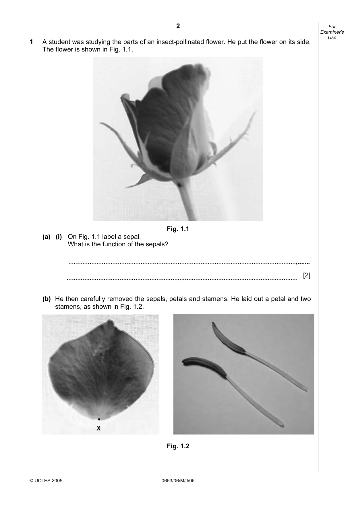 Cambridge IGCSE Science - Combined 0653 2005 May/June Paper 6 · Variant 1 question paper, page 2 of 16