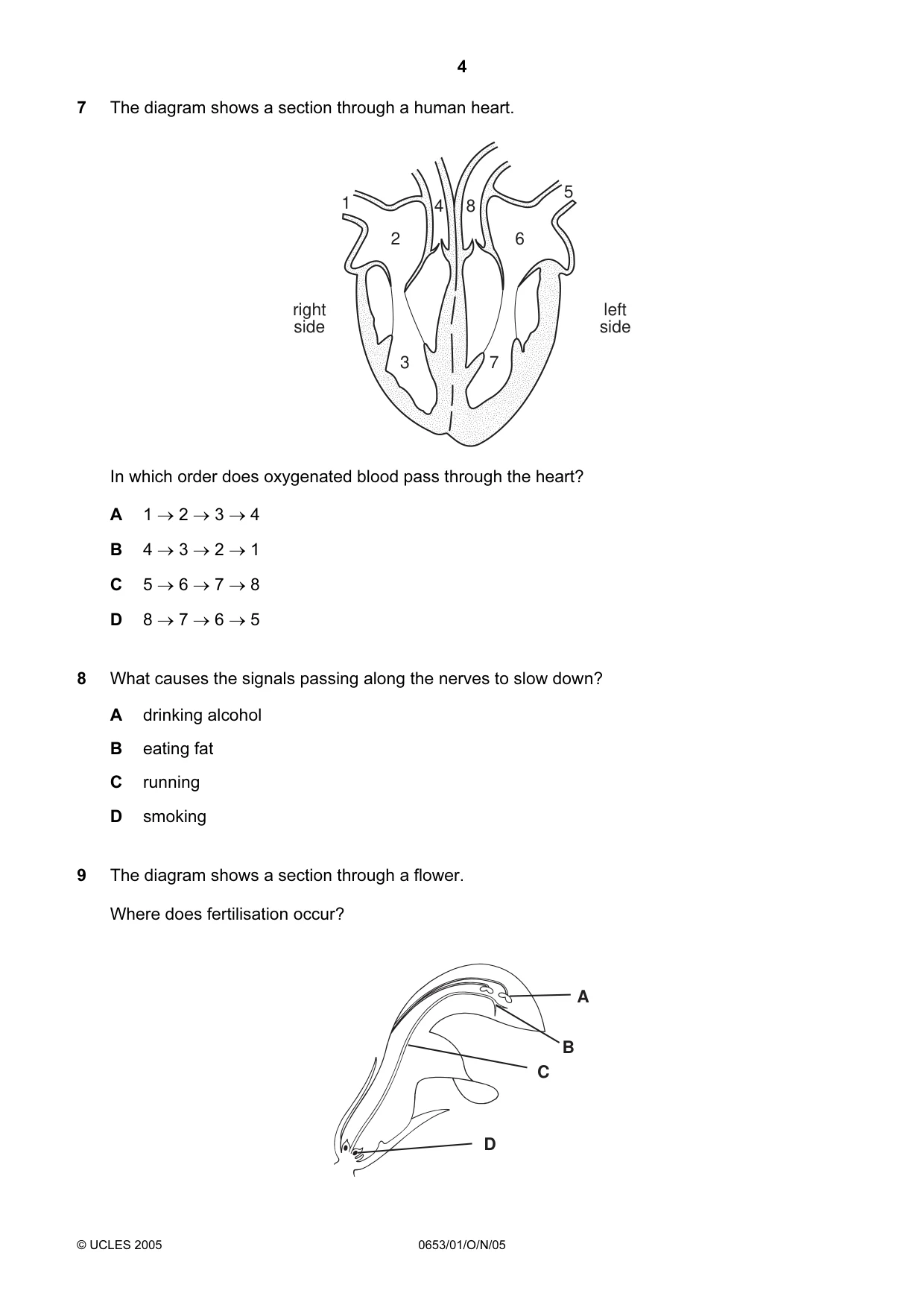 Cambridge IGCSE Science - Combined 0653 2005 Oct/Nov Paper 1 · Variant 1 question paper, page 4 of 20