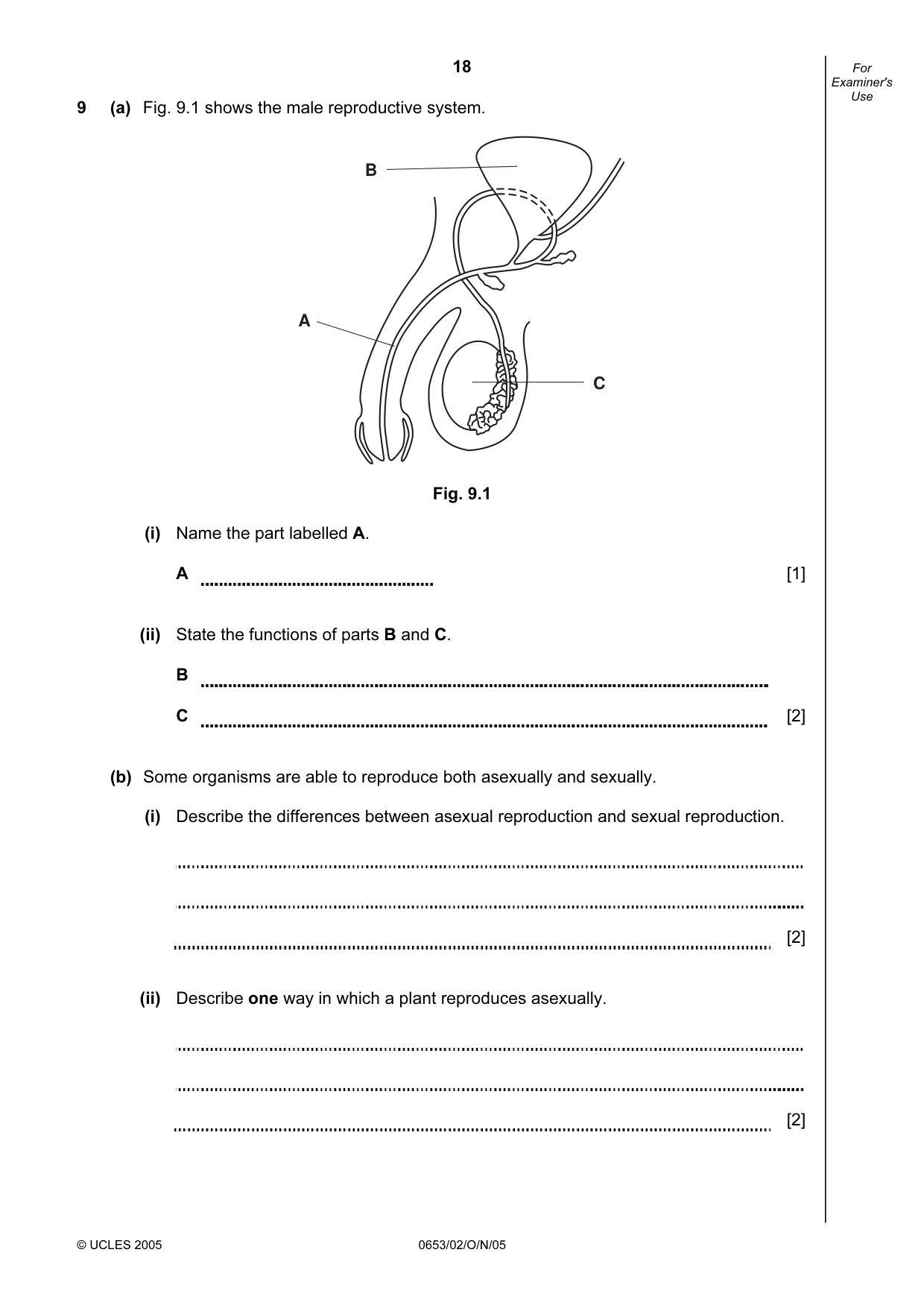 Cambridge IGCSE Science - Combined 0653 2005 Oct/Nov Paper 2 · Variant 1 question paper, page 18 of 20