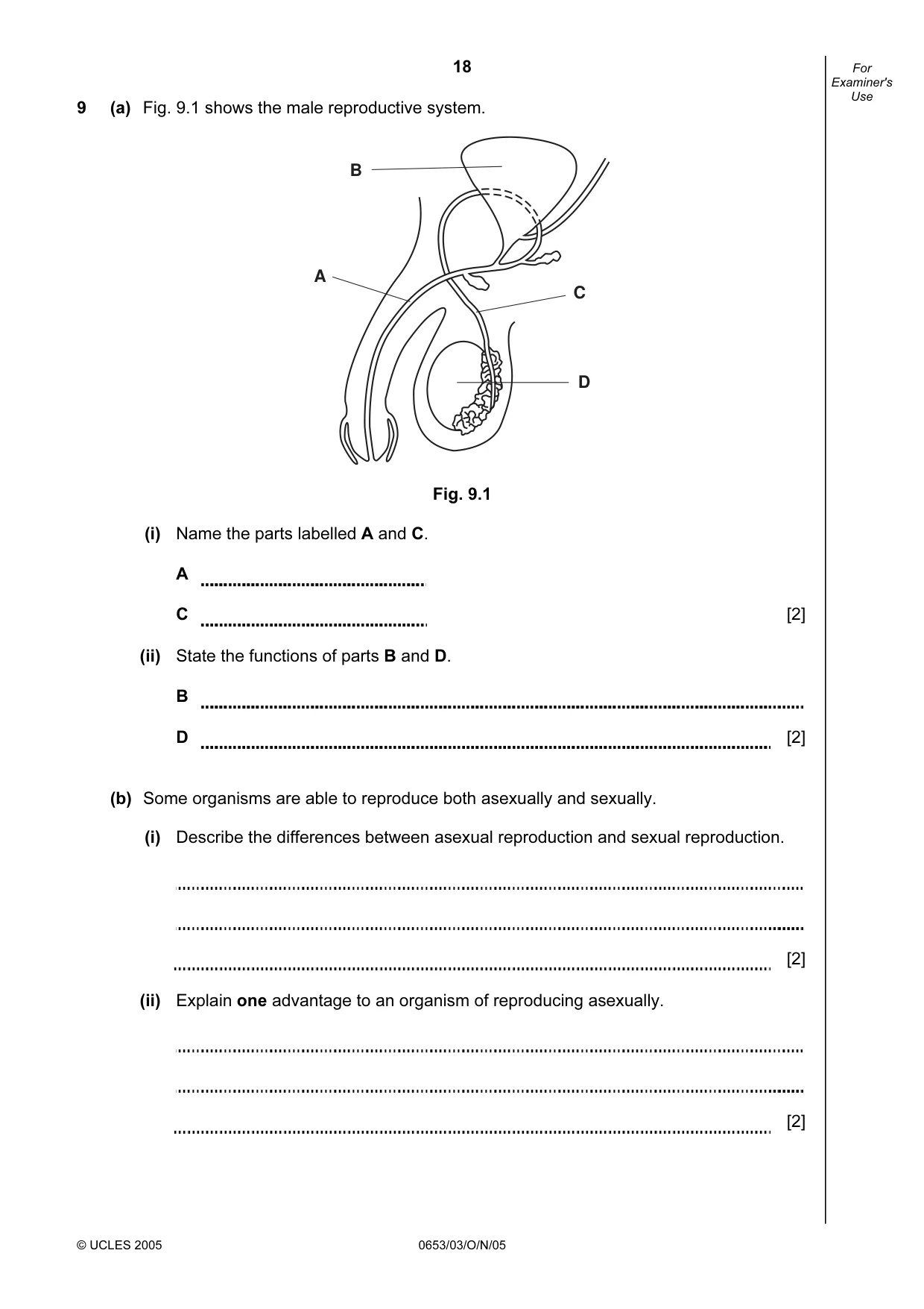 Cambridge IGCSE Science - Combined 0653 2005 Oct/Nov Paper 3 · Variant 1 question paper, page 18 of 20