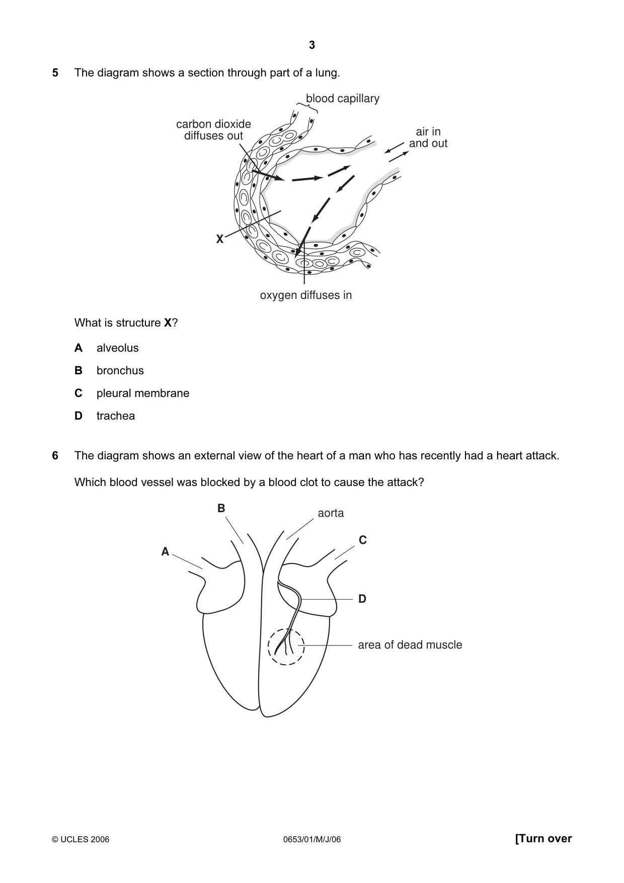 Cambridge IGCSE Science - Combined 0653 2006 May/June Paper 1 · Variant 1 question paper, page 3 of 16