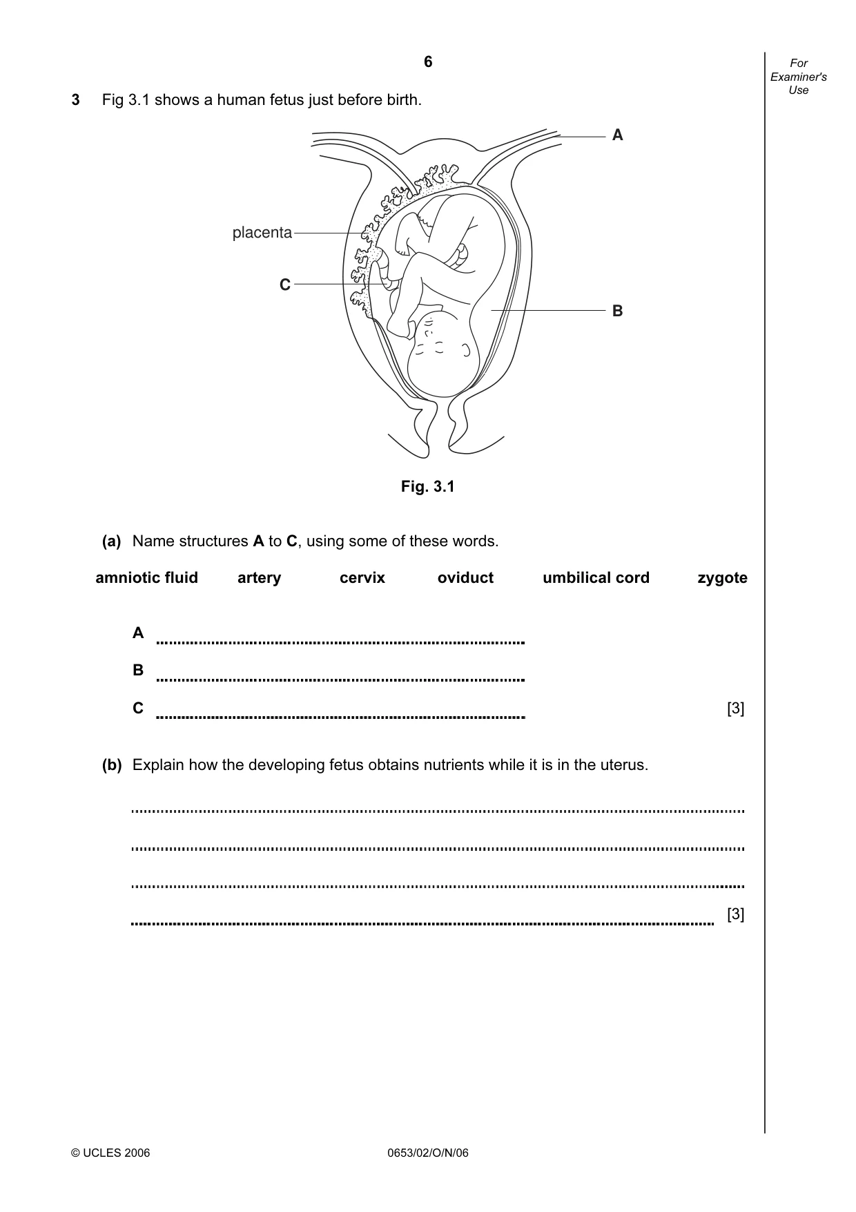Cambridge IGCSE Science - Combined 0653 2006 Oct/Nov Paper 2 · Variant 1 question paper, page 6 of 20