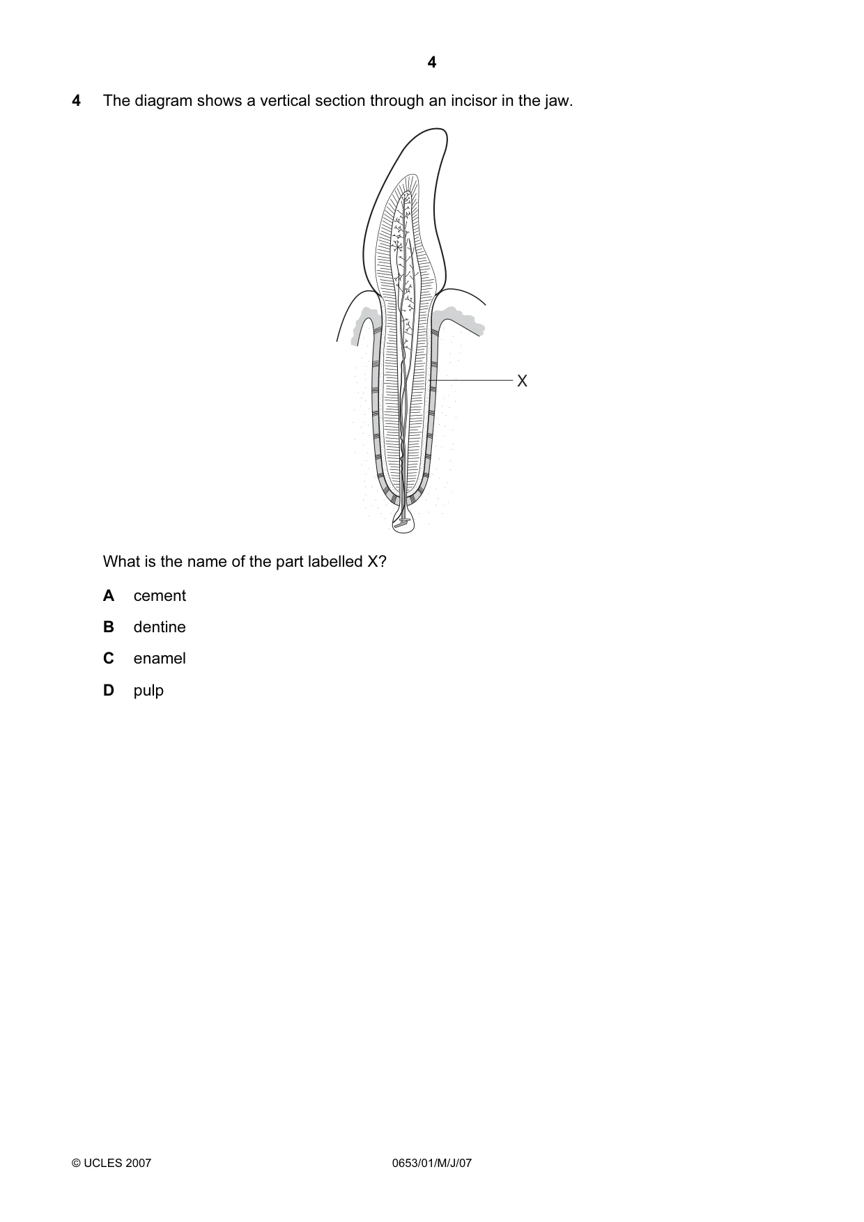 Cambridge IGCSE Science - Combined 0653 2007 May/June Paper 1 · Variant 1 question paper, page 4 of 20